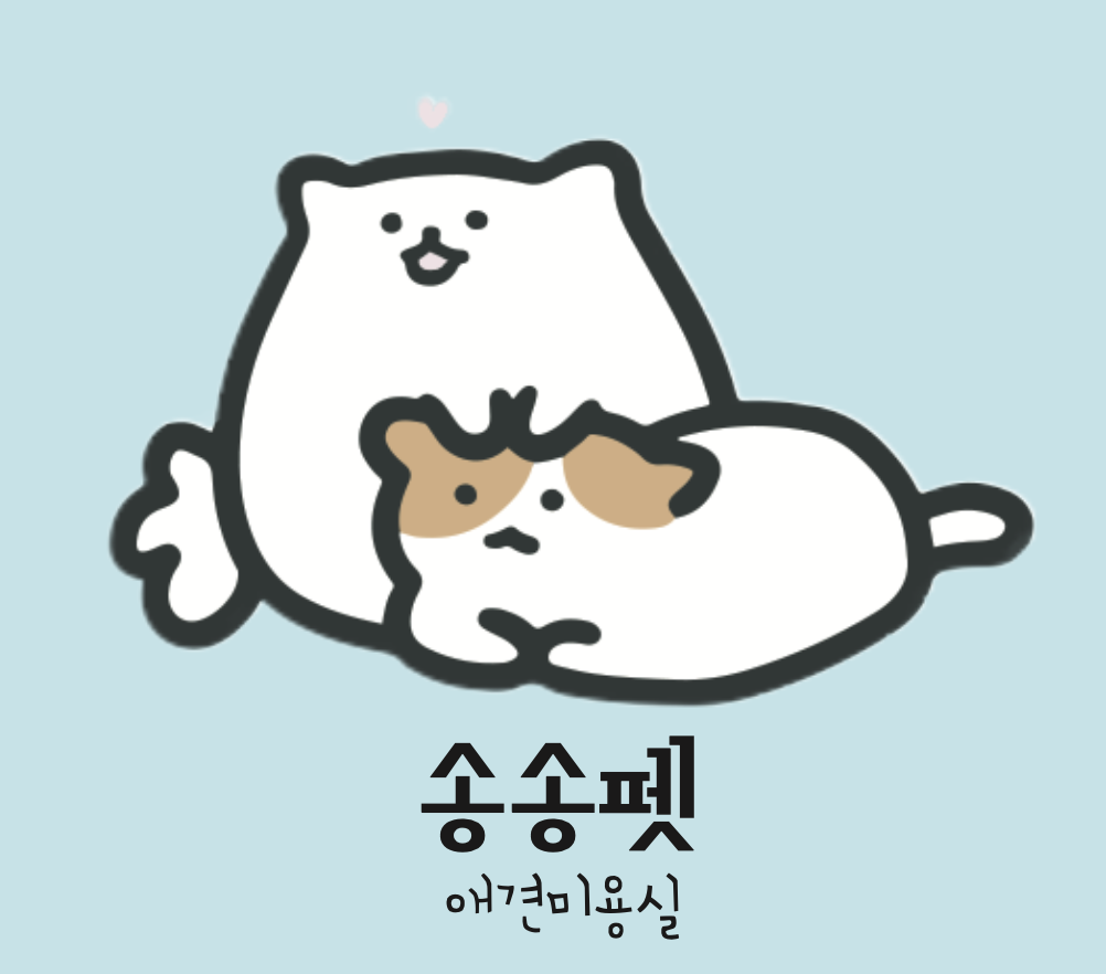 송송펫