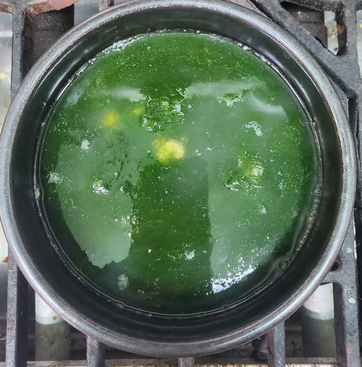 매생이 굴국밥