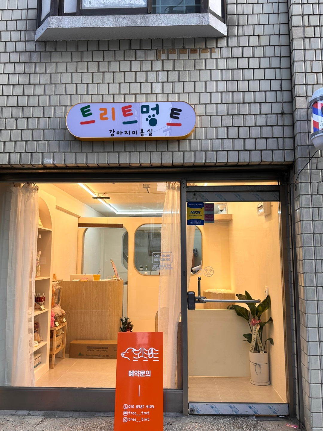 트리트멍트