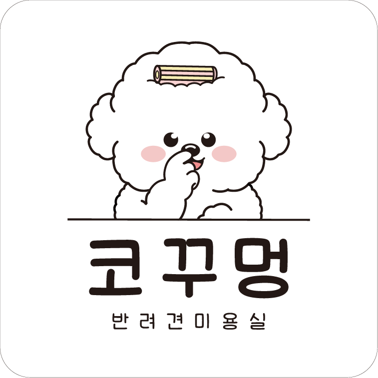 코꾸멍