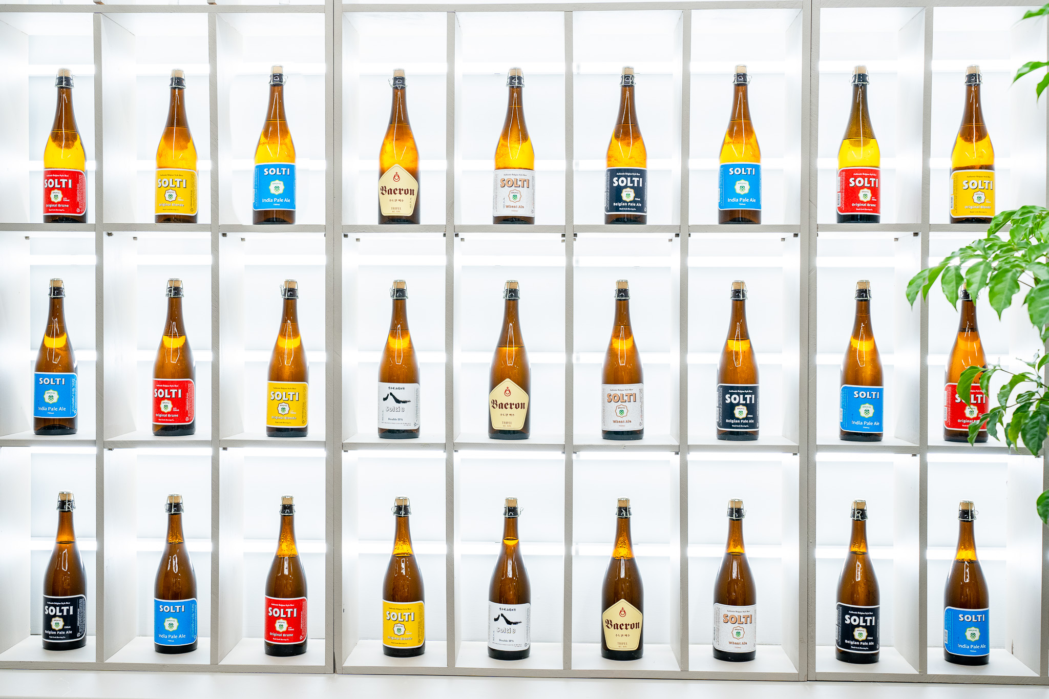 단양브루어리 이미지