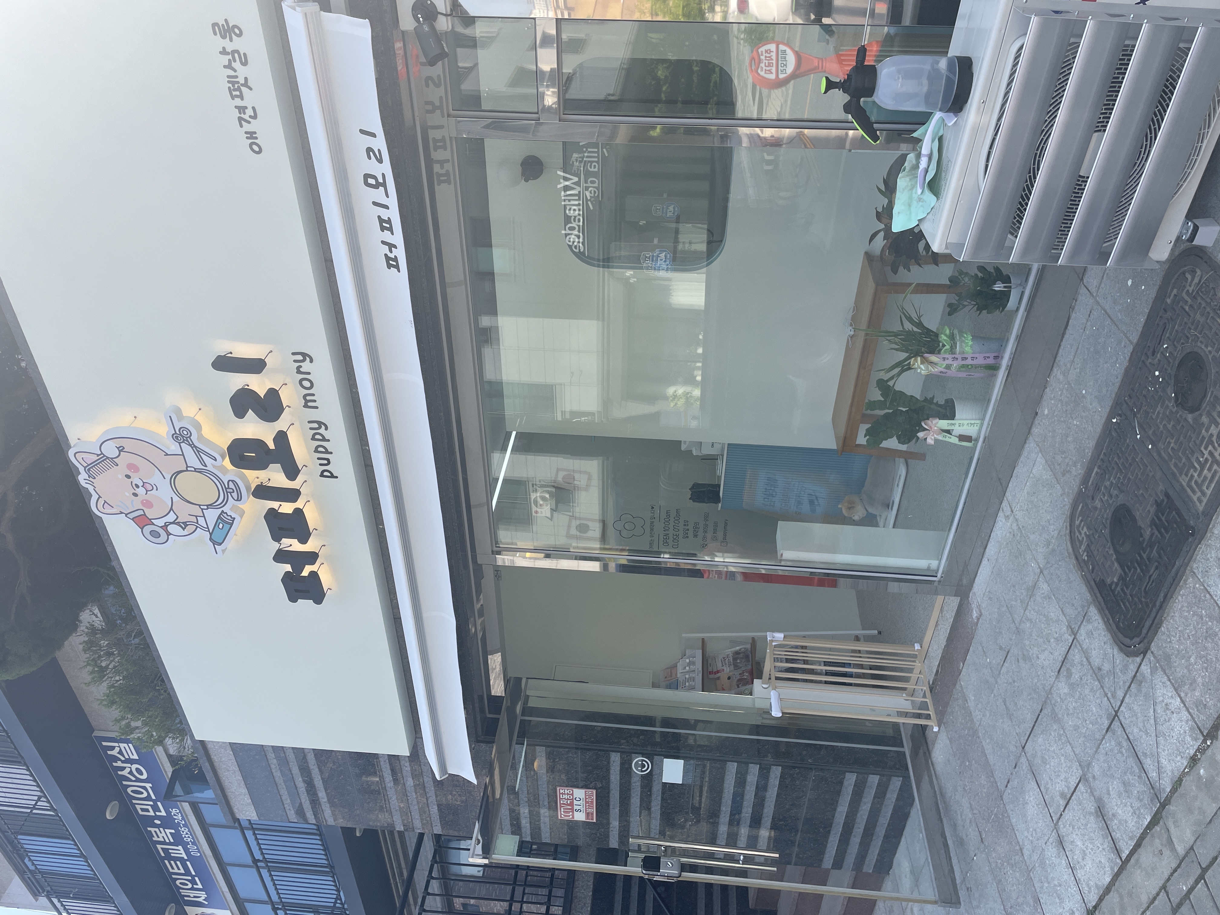 퍼피모리