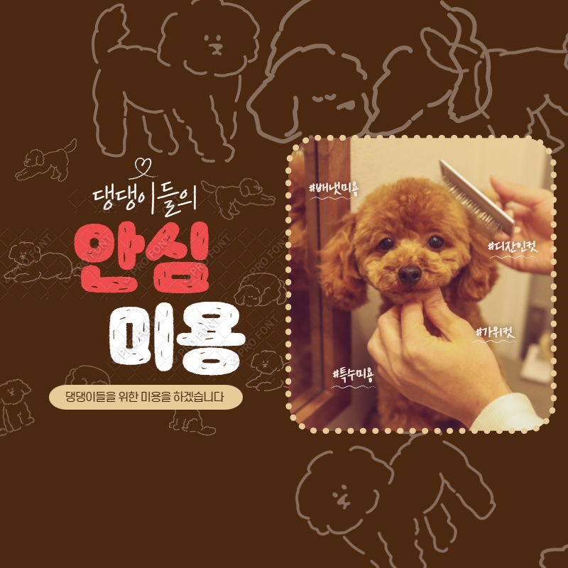 킁킁펫