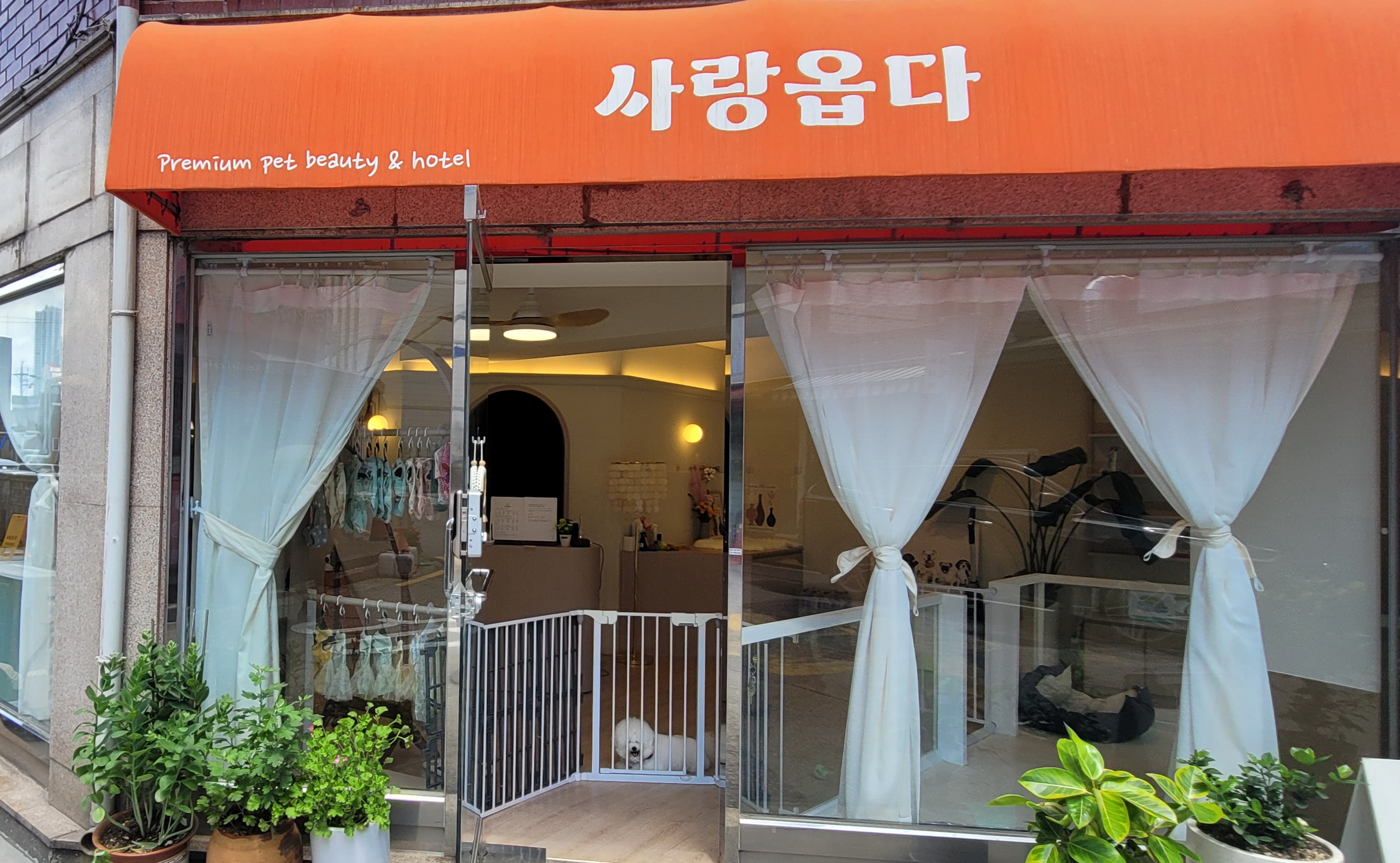 사랑옵다