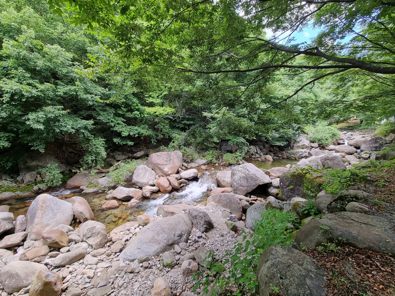 민들레펜션 이미지