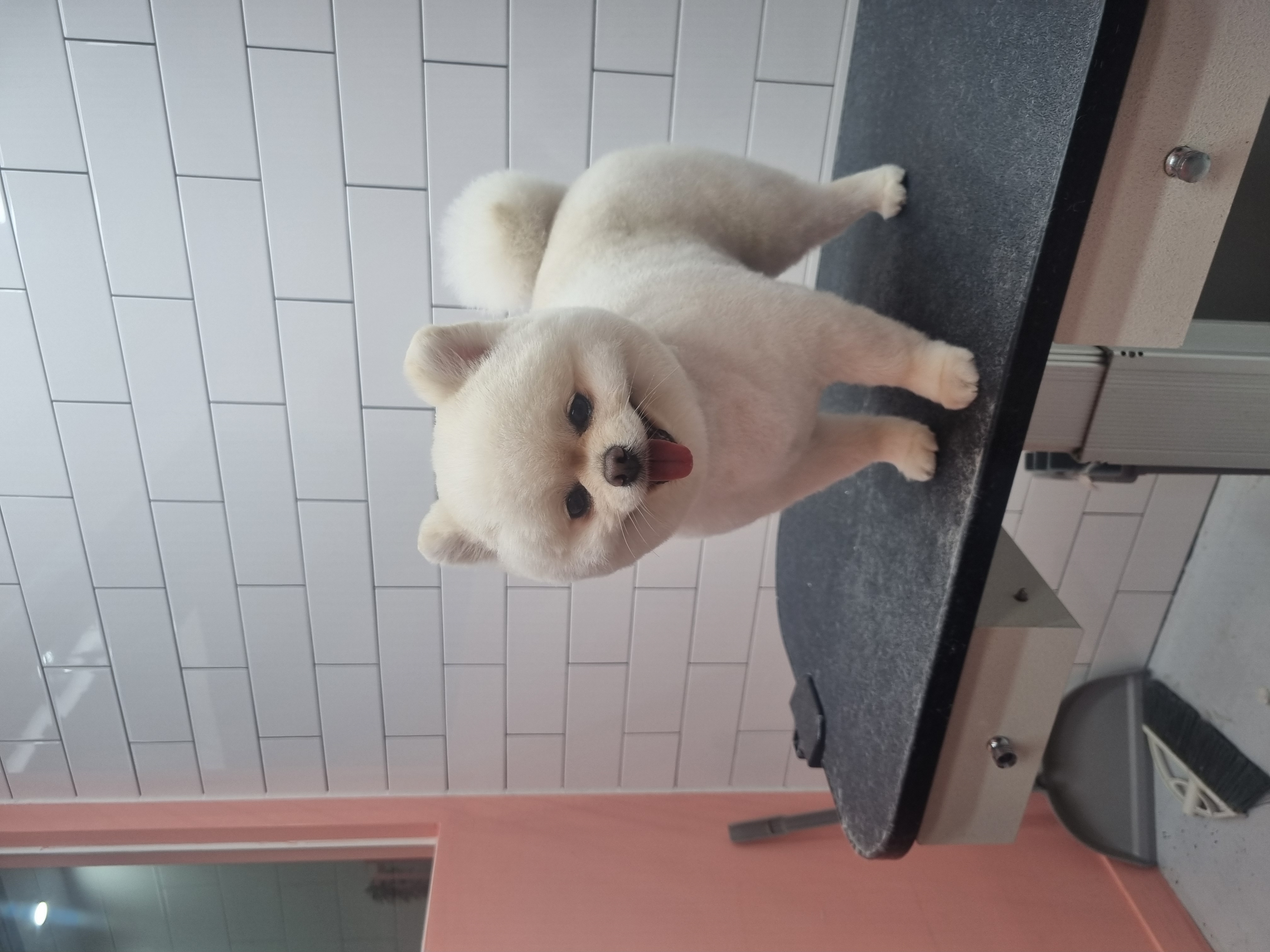 오늘THE이쁘개