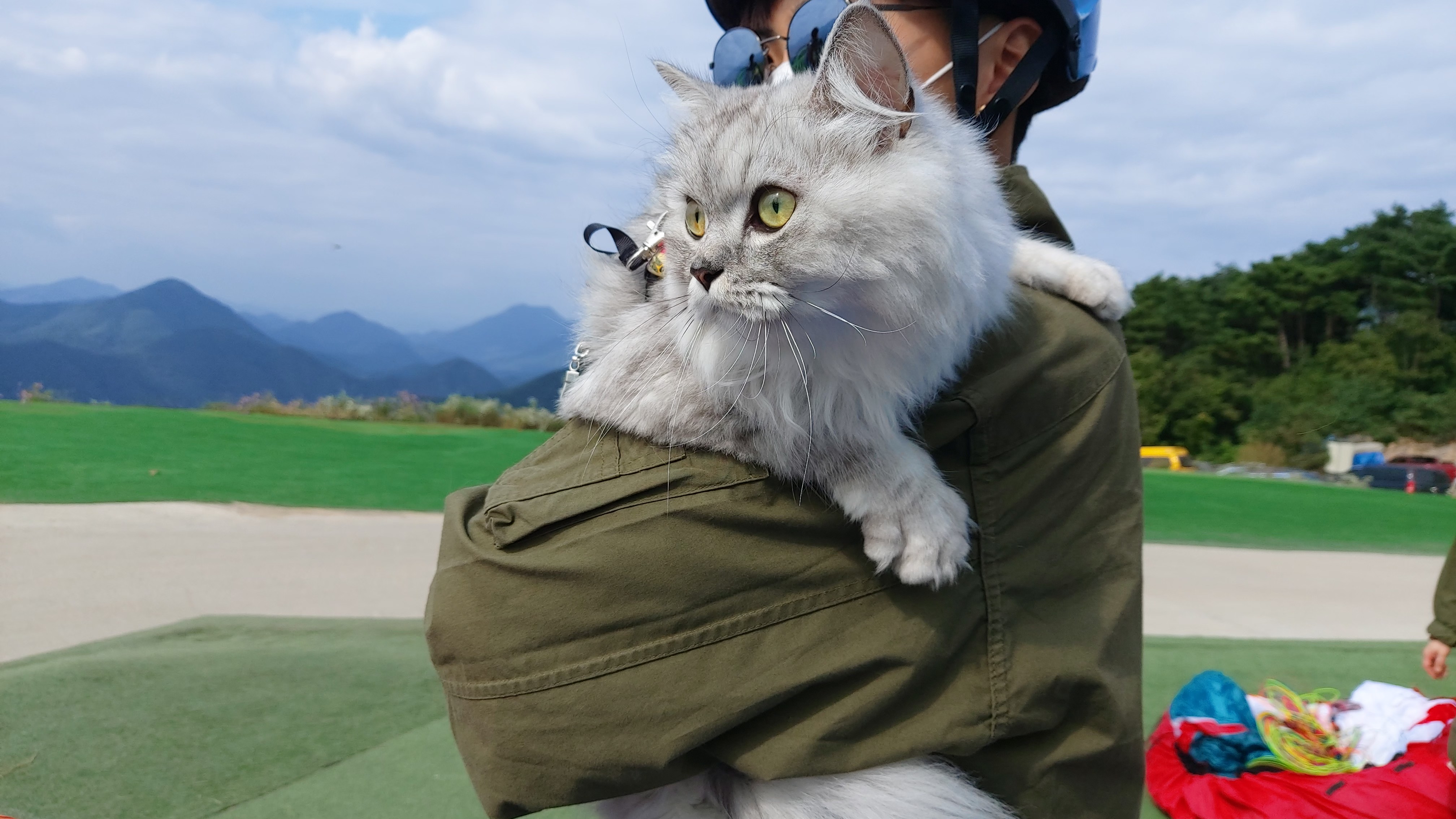단양청춘패러 이미지