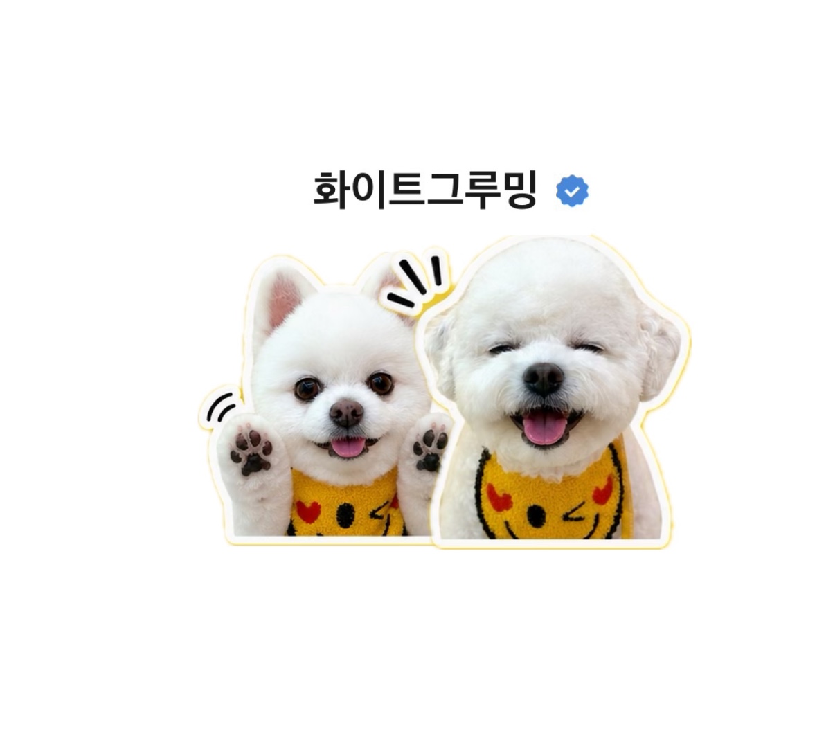 화이트그루밍