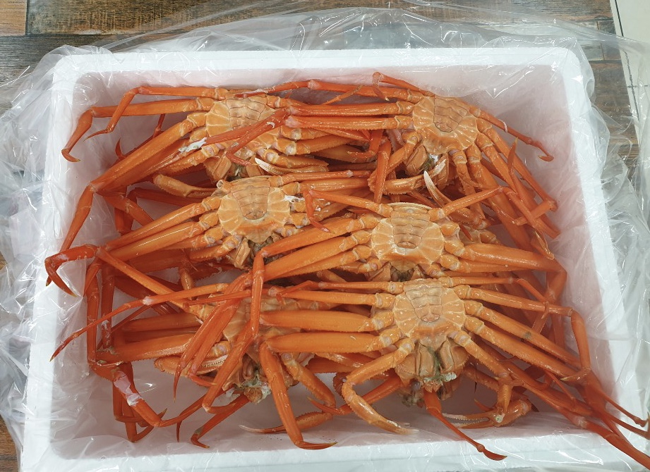 연지홍게찜(소) 10마리