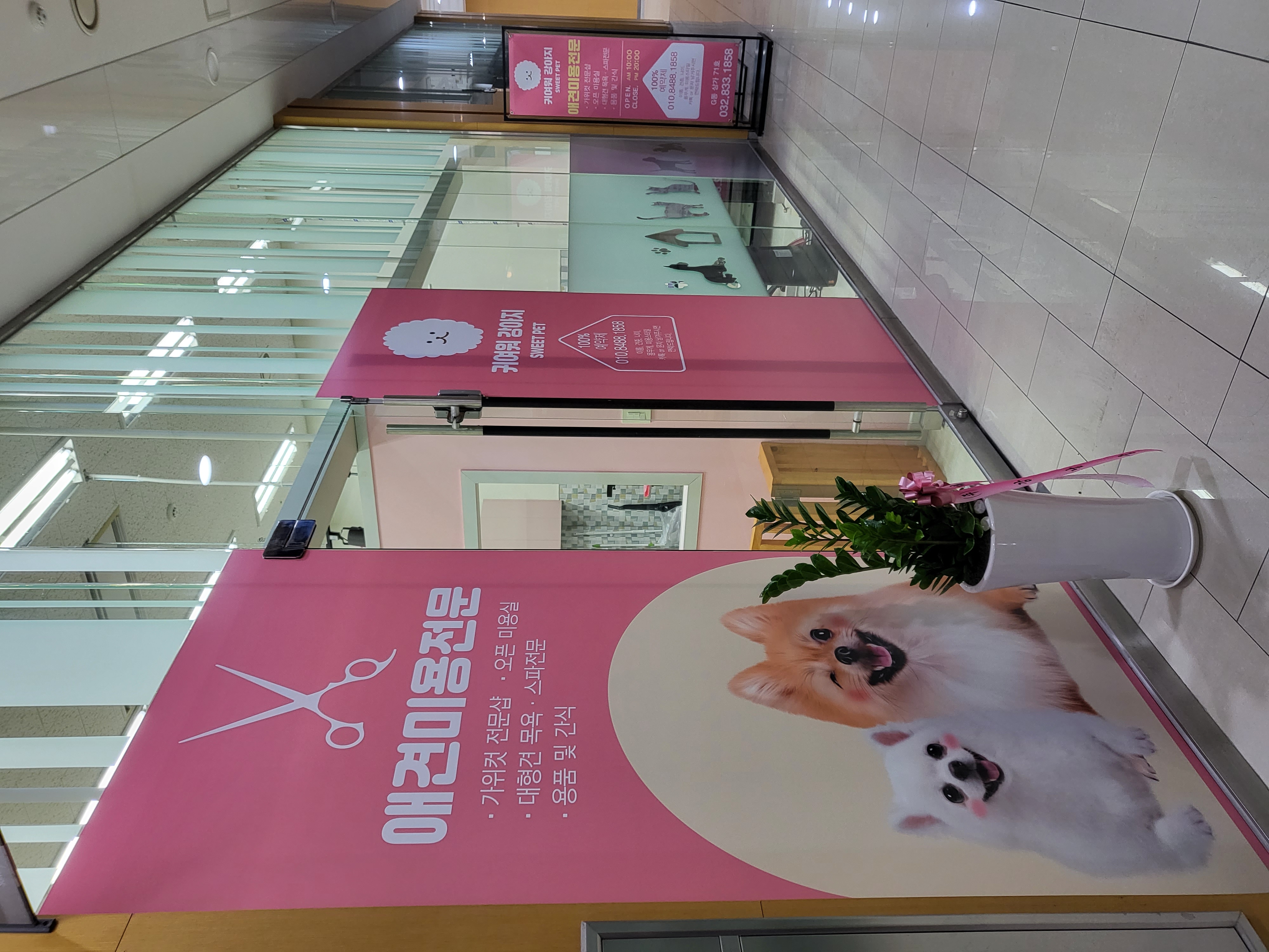 귀여워 강아지