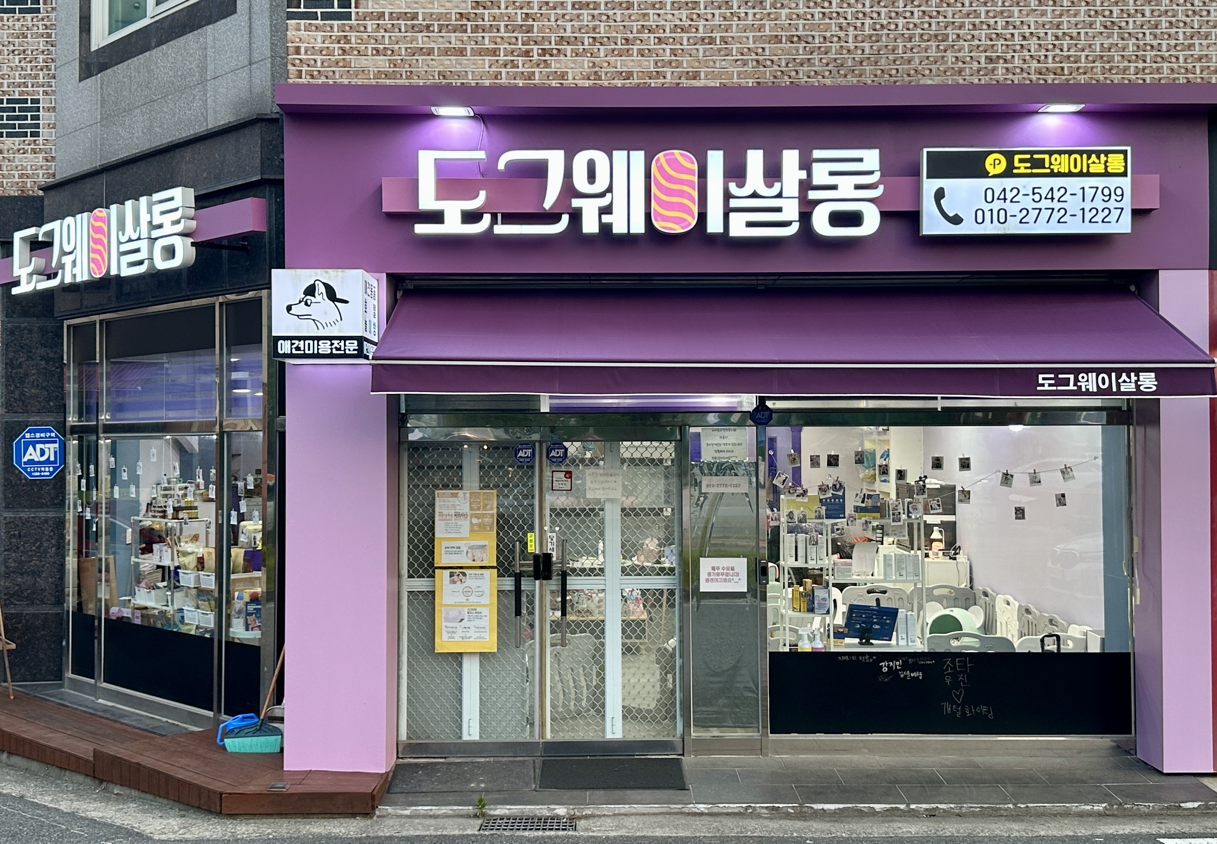 도그웨이살롱