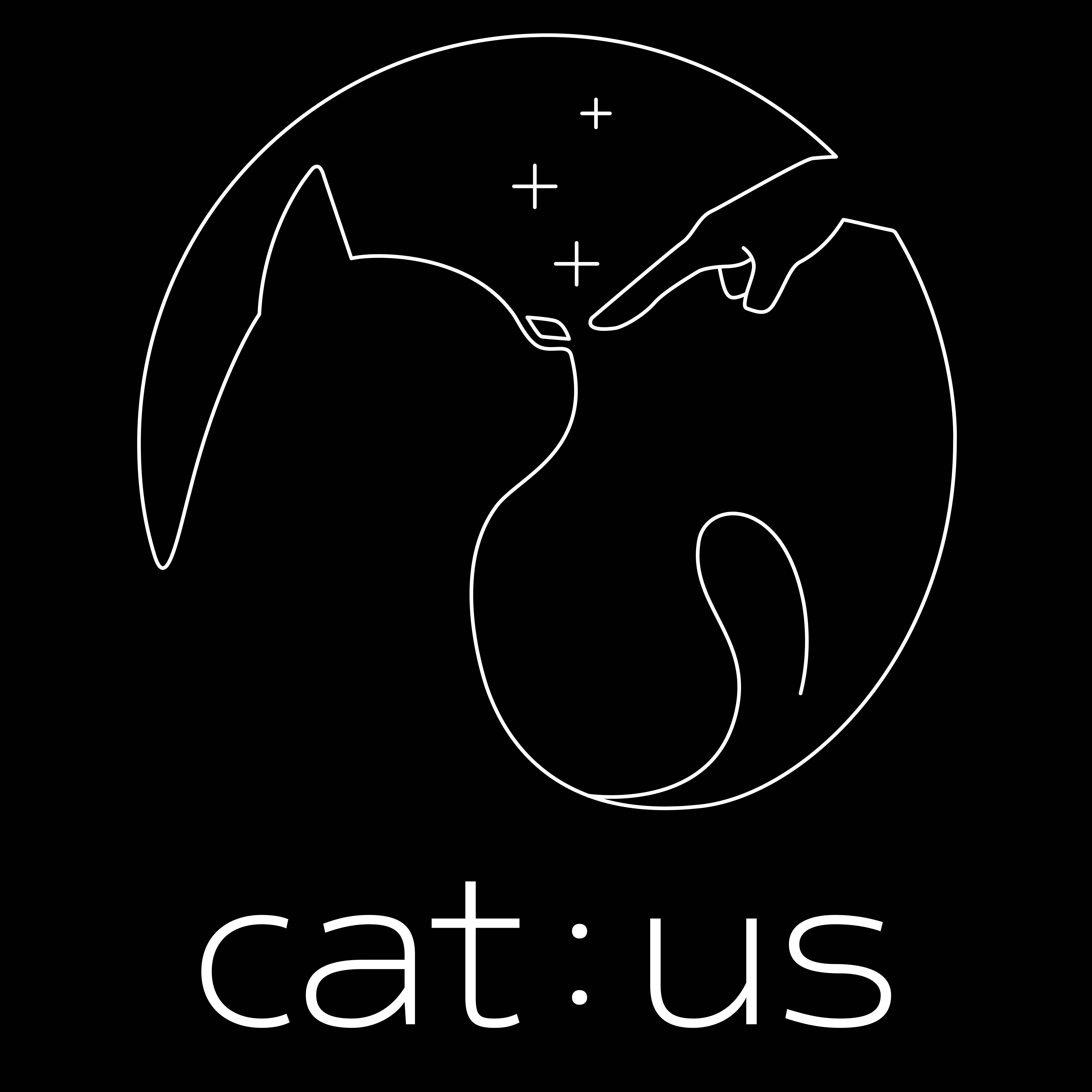 고양이 미용 캣어스(cat :us)