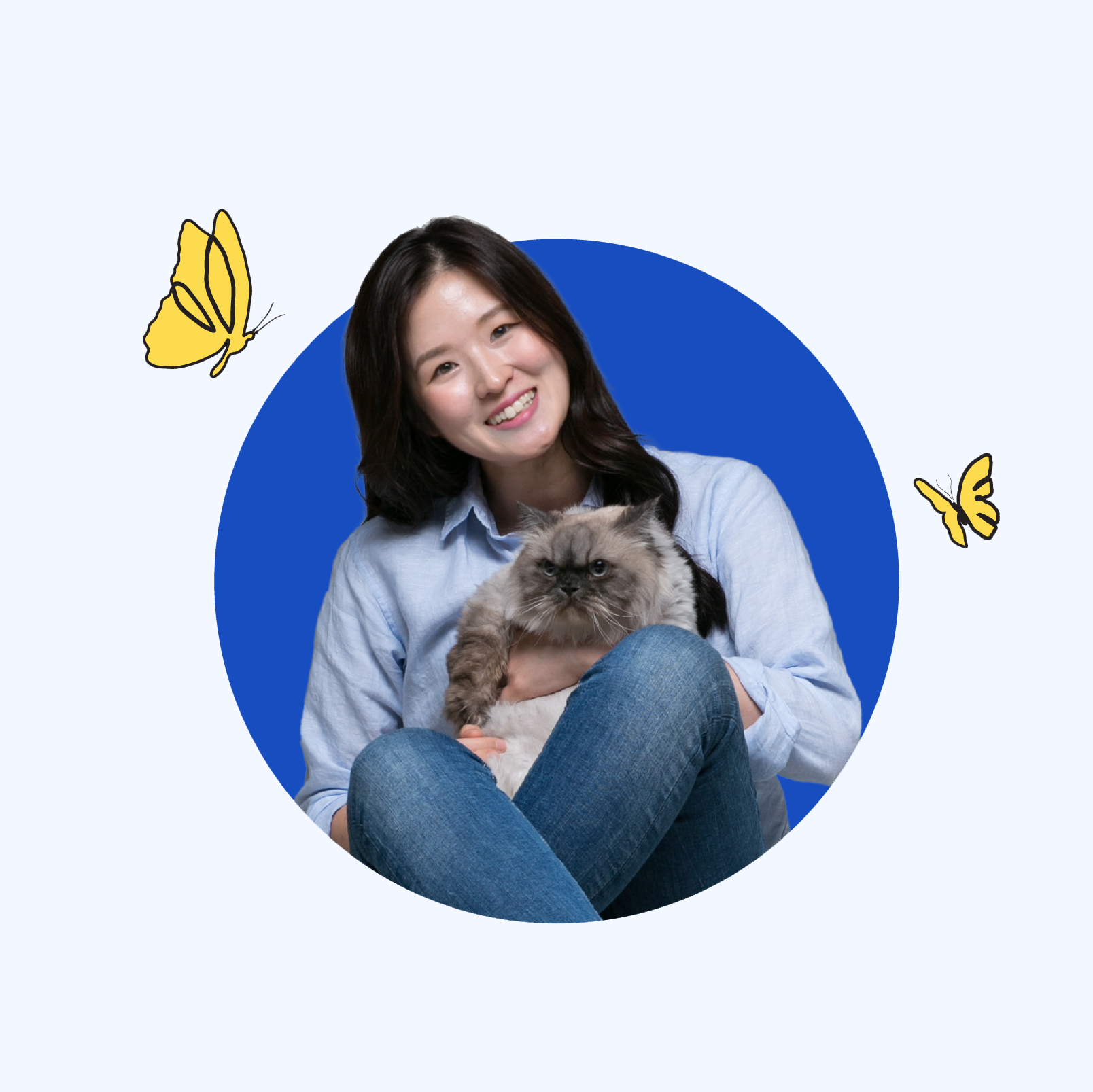 창너머 고양이
