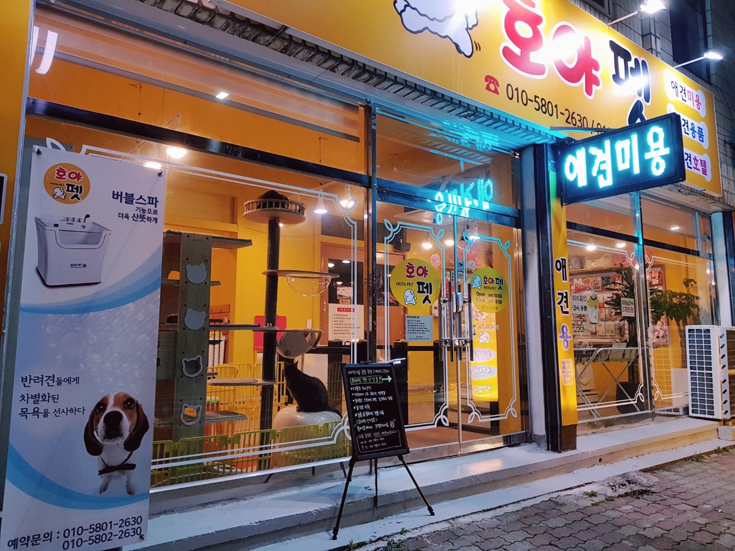 호야펫