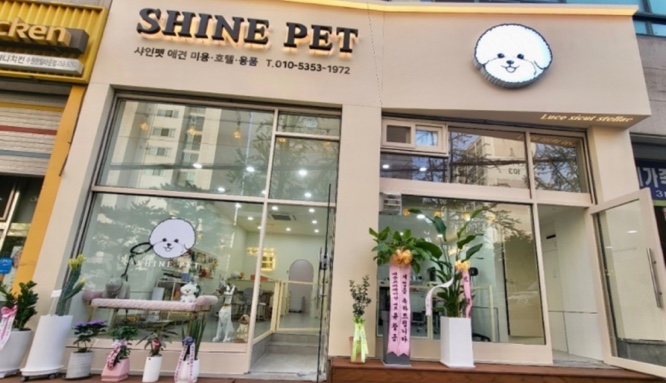 샤인펫 (Shine pet)