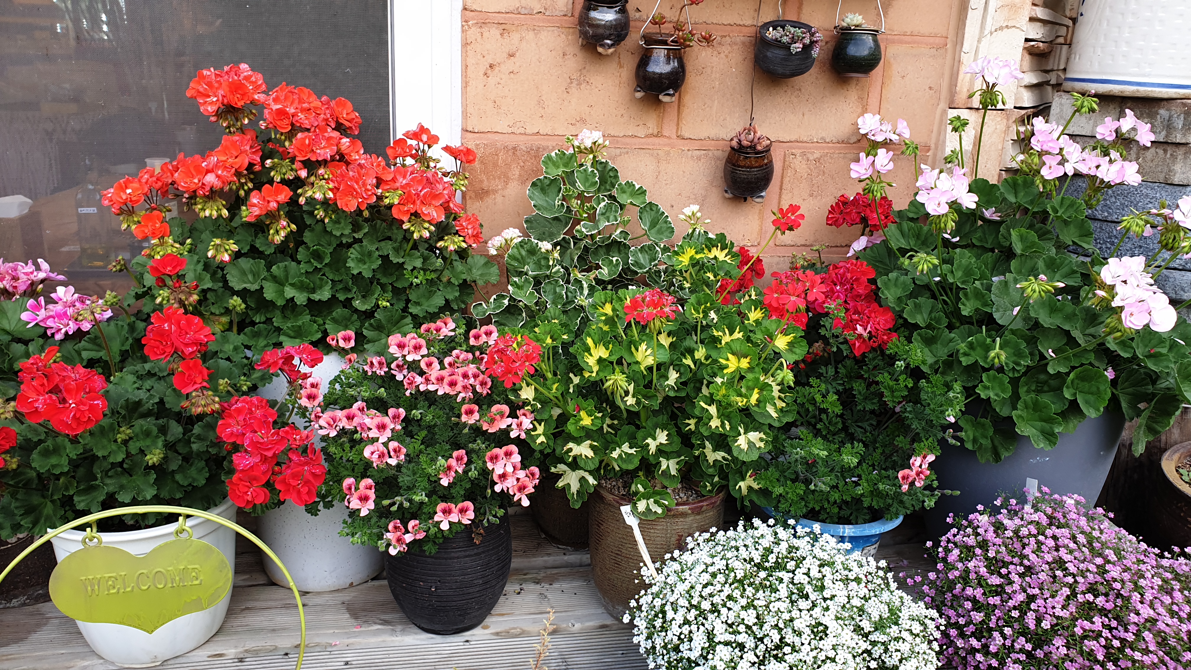 숲속그집 이미지