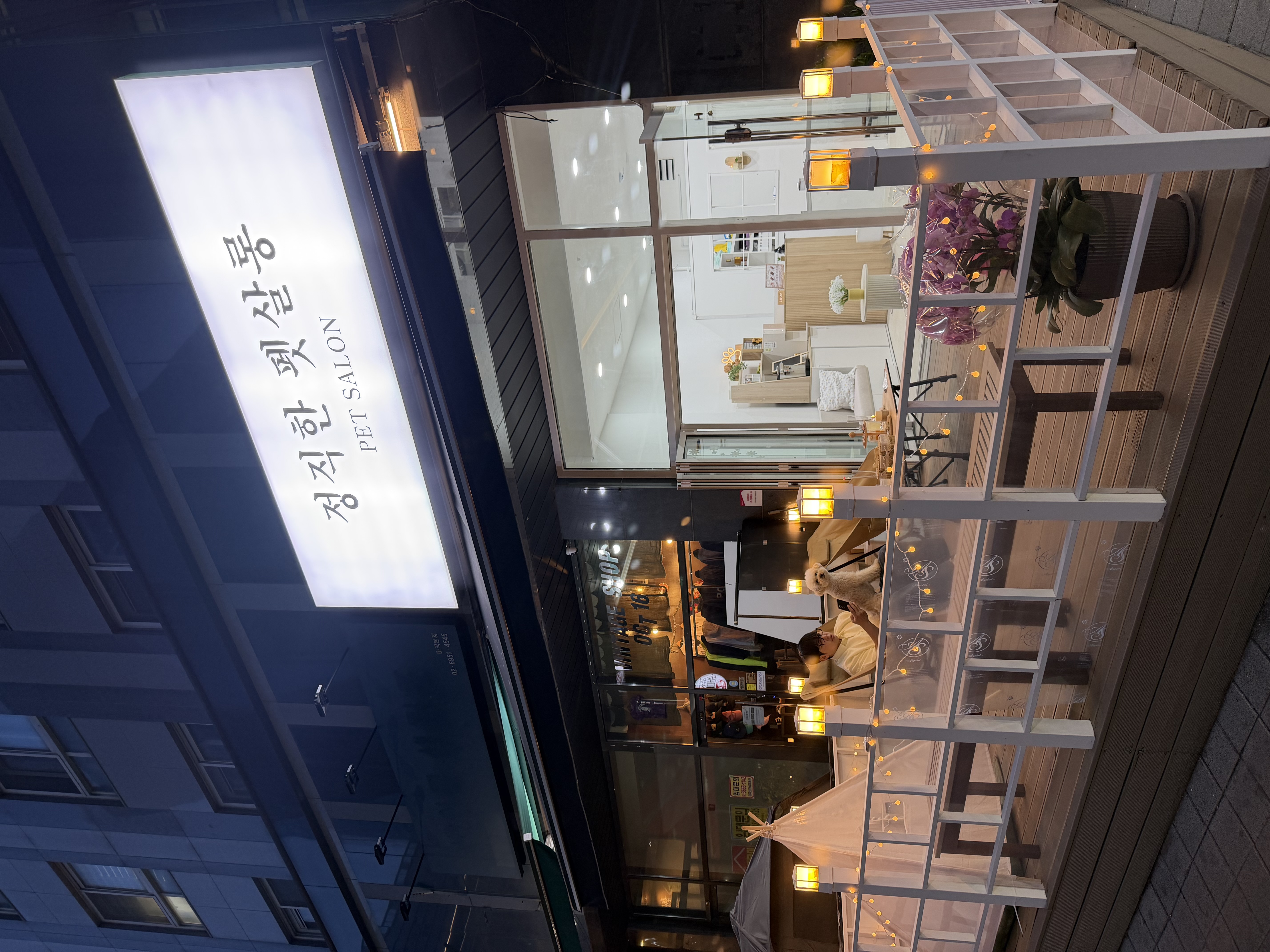 정직한 펫살롱