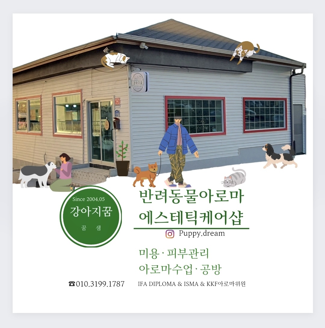 강아지꿈