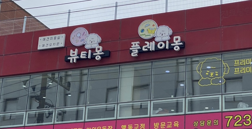 뷰티몽&플레이몽