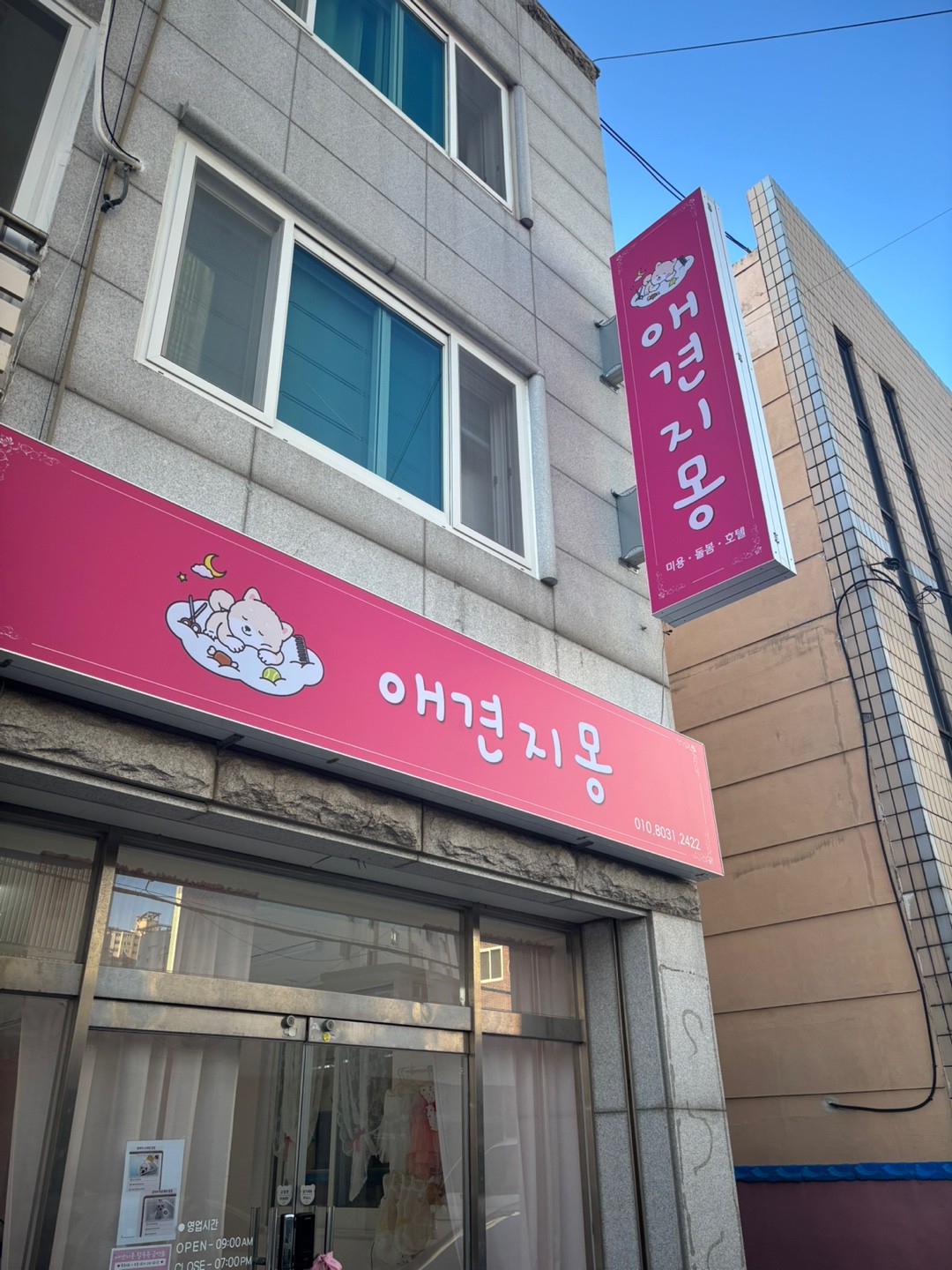 애견지몽