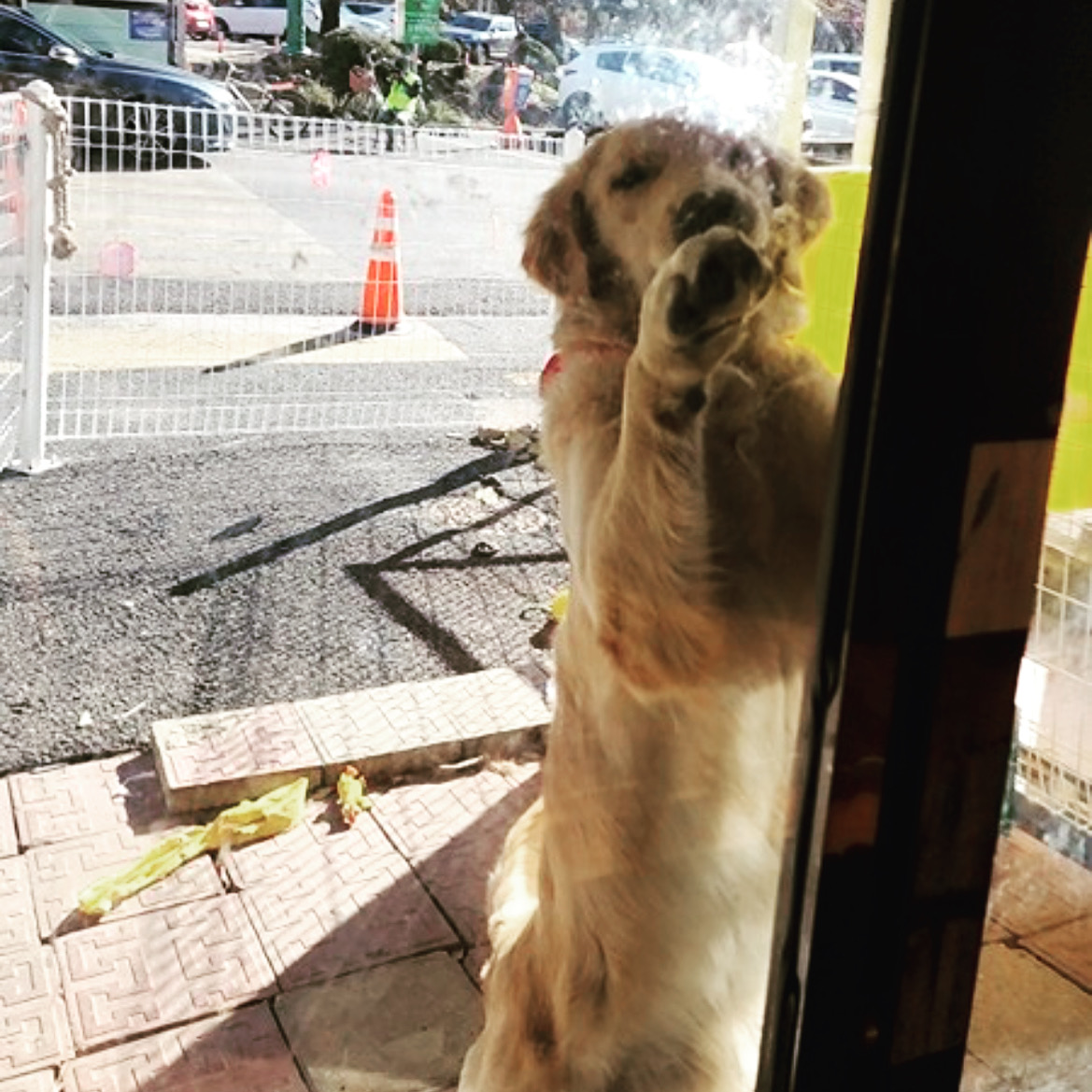 백산커피 이미지