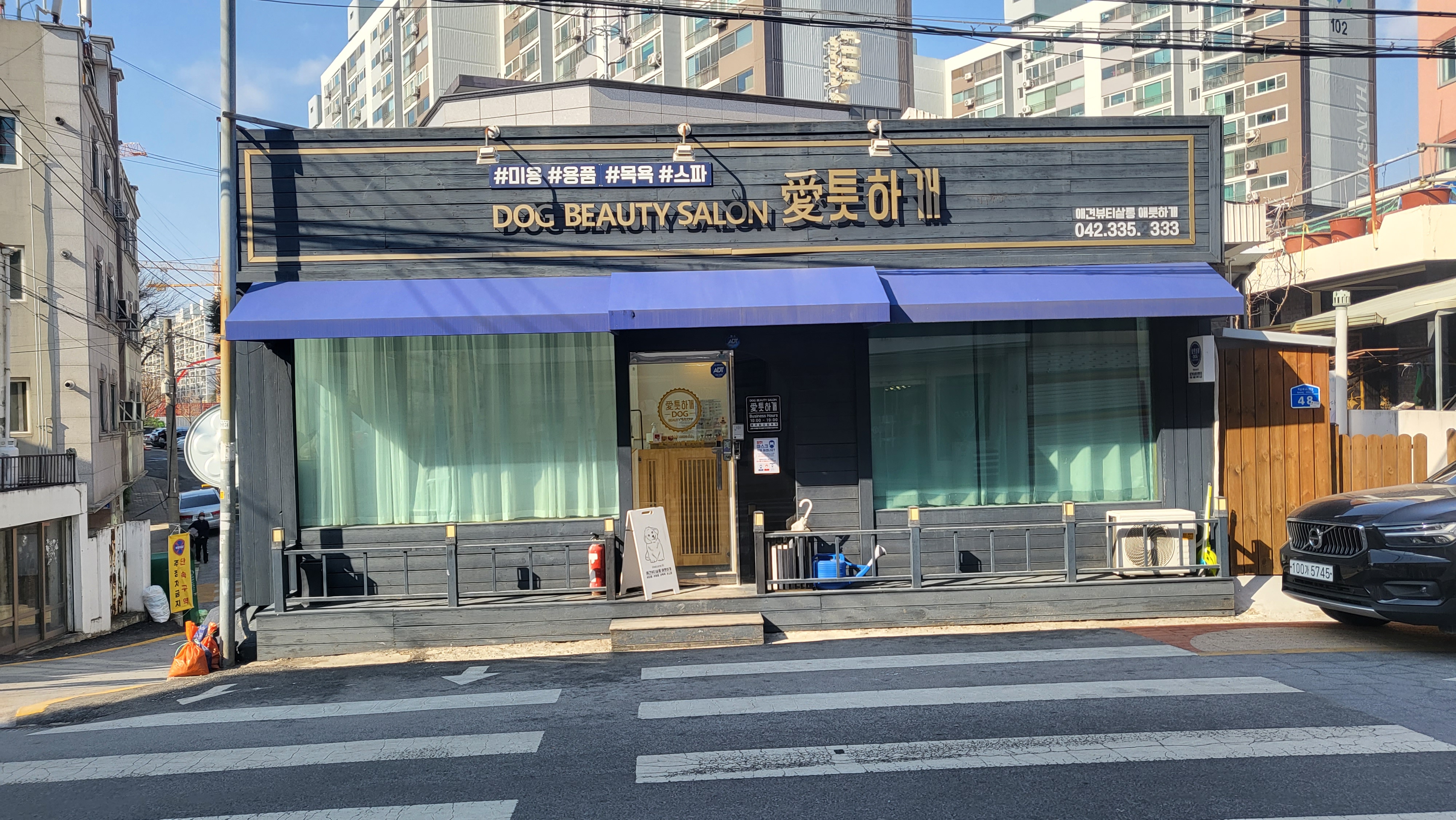 애틋하개