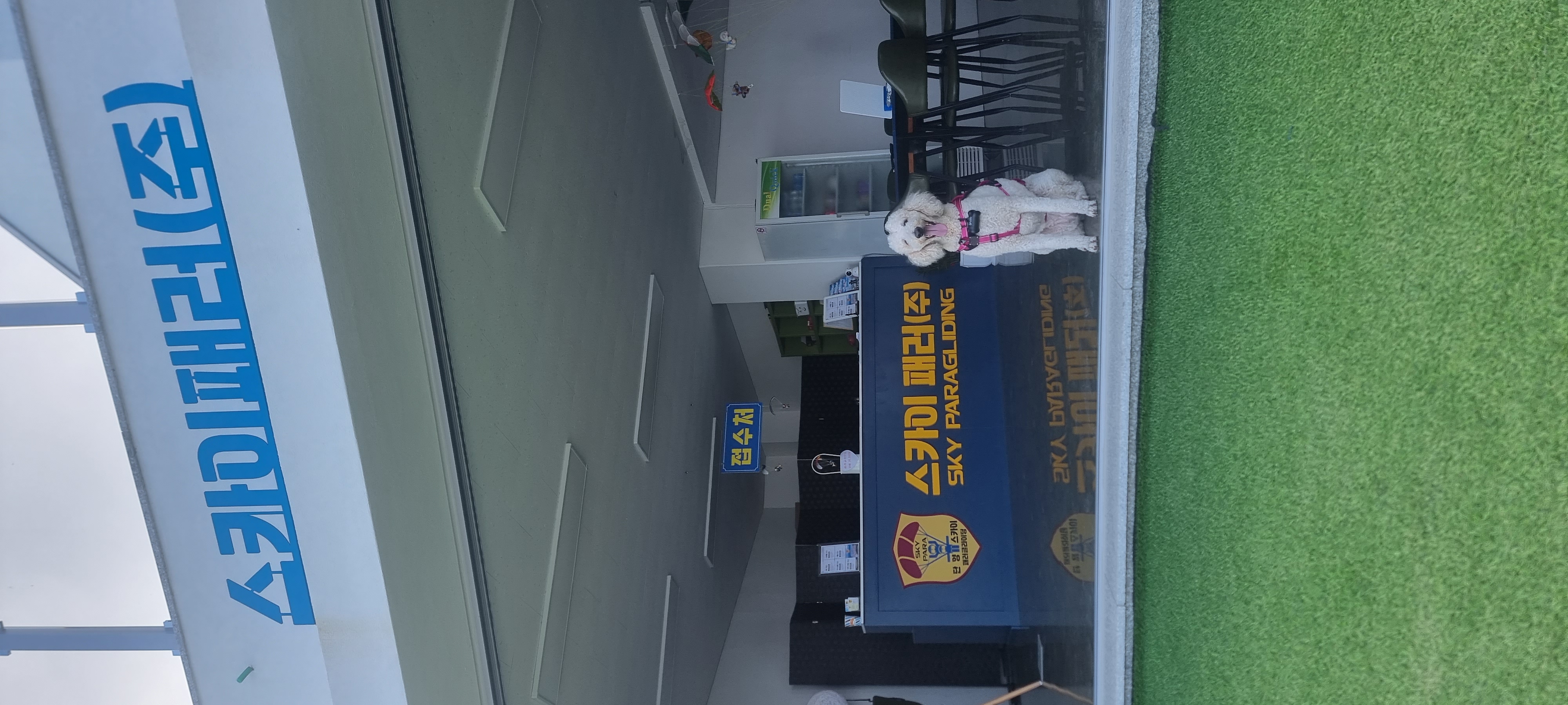 스카이패러 이미지