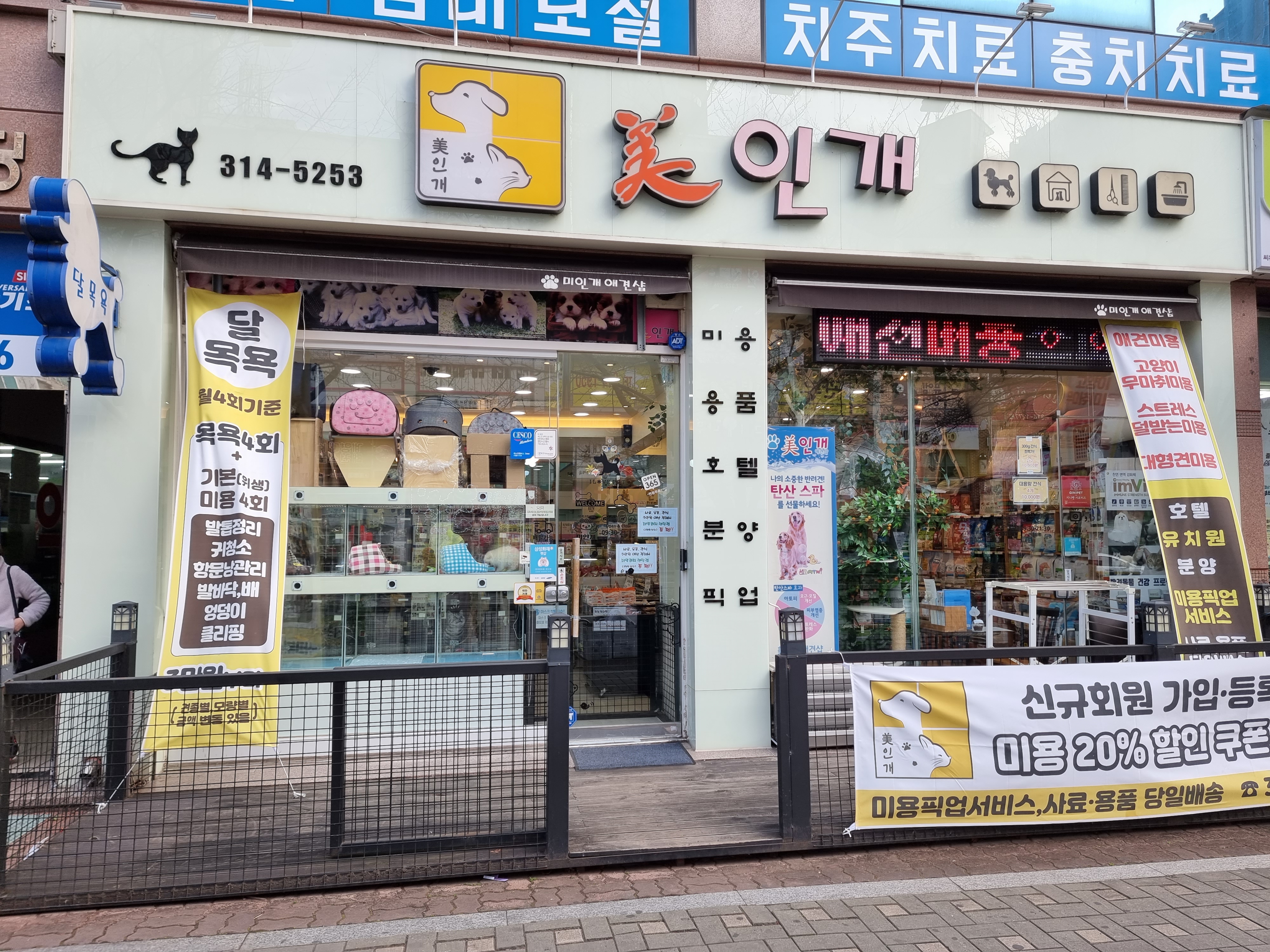 미인개