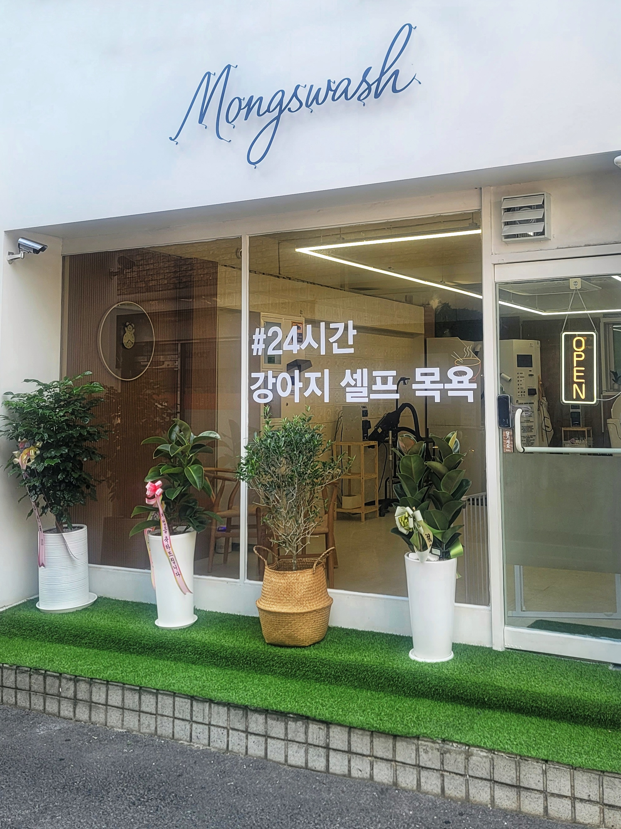 몽스워시