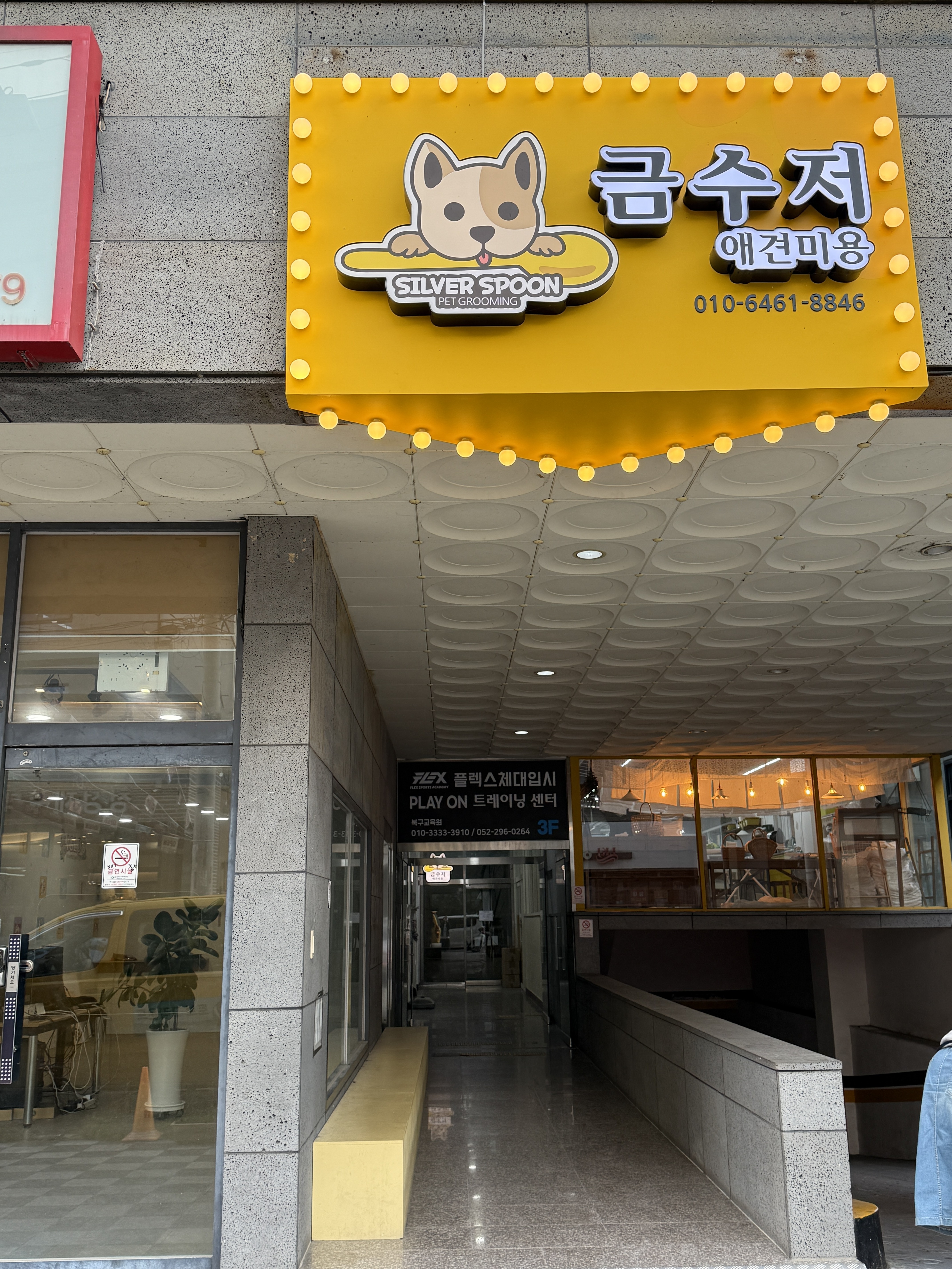 금수저 애견미용실