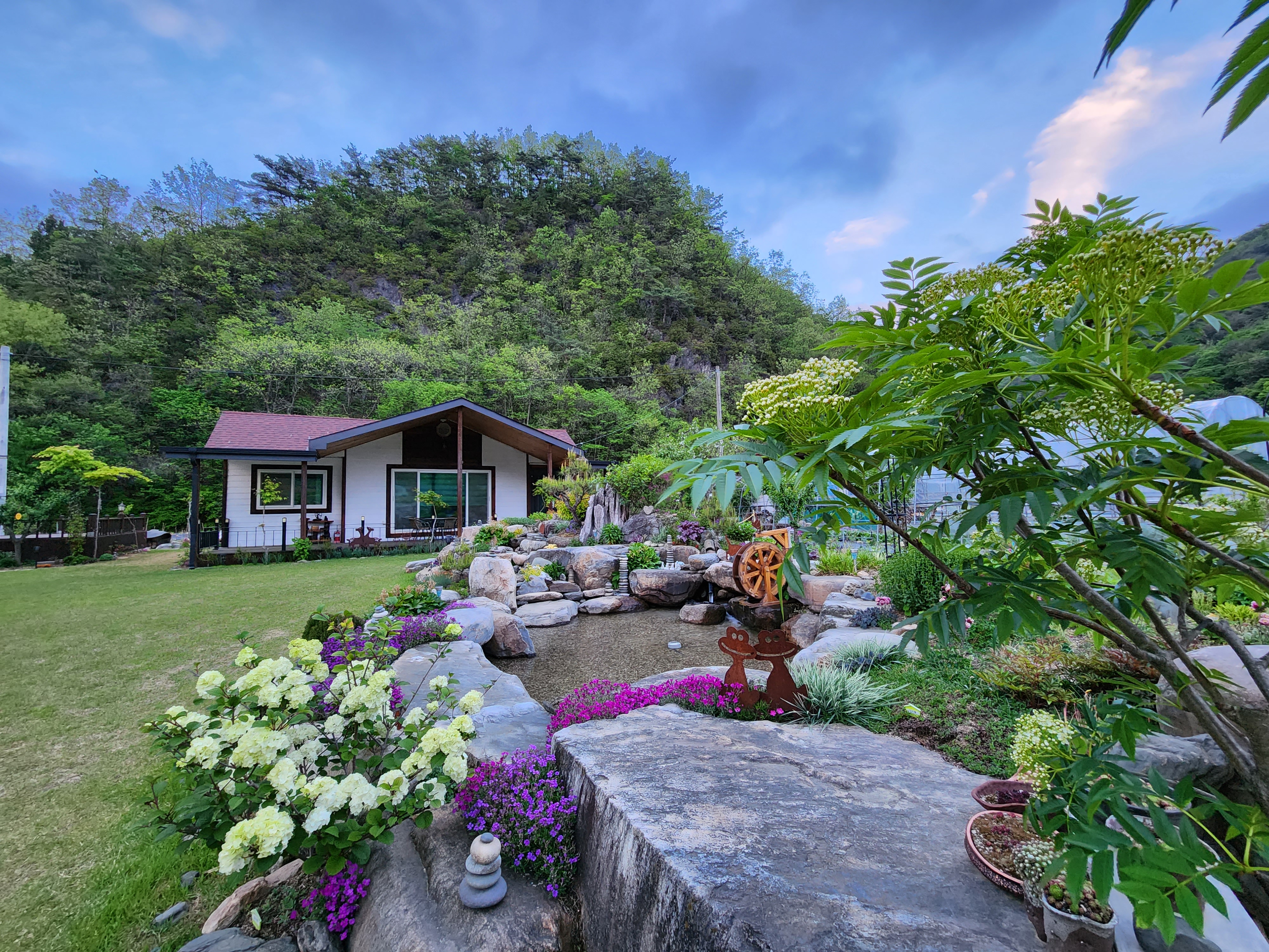 꽃뜨락단양펜션 이미지