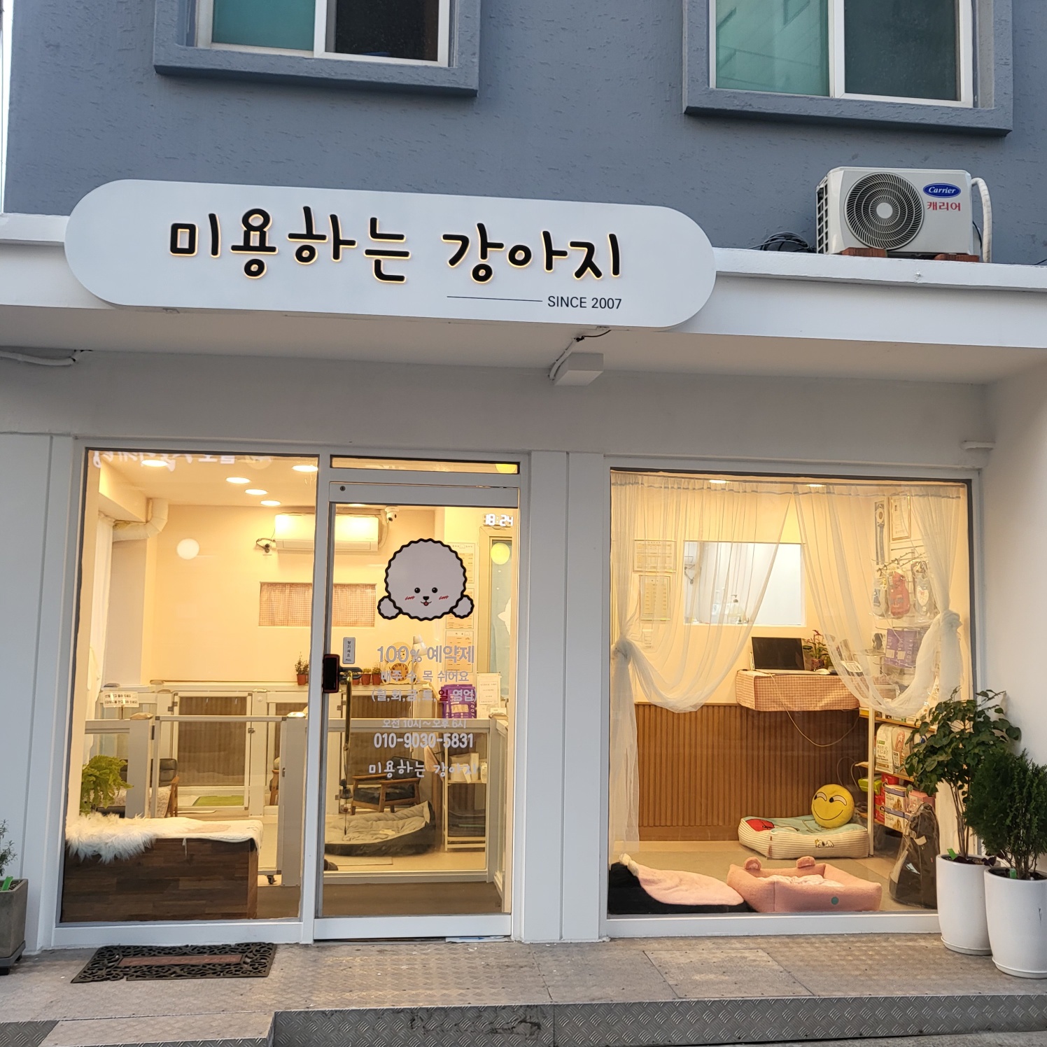 미용하는 강아지