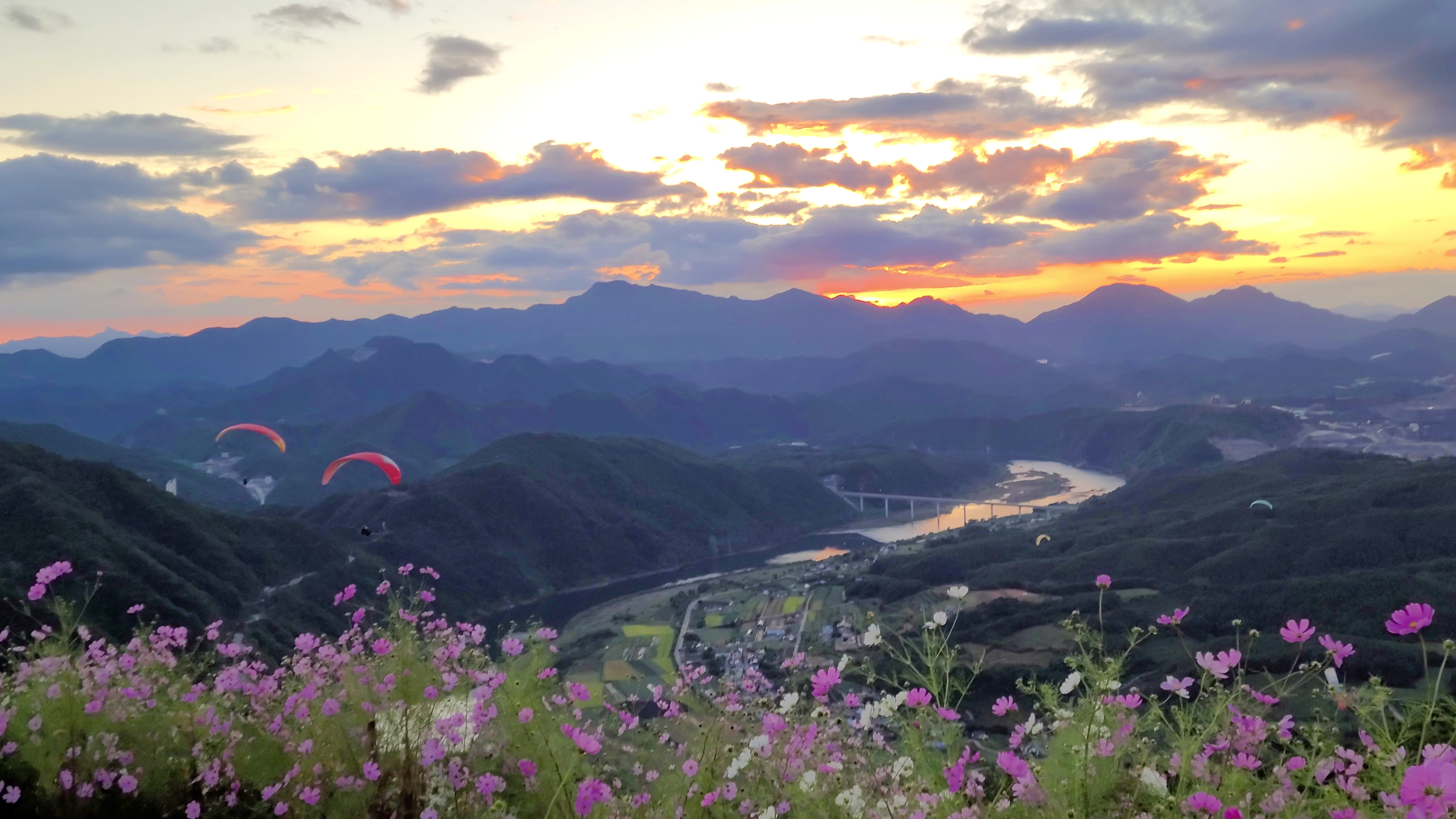 단양청춘패러 이미지