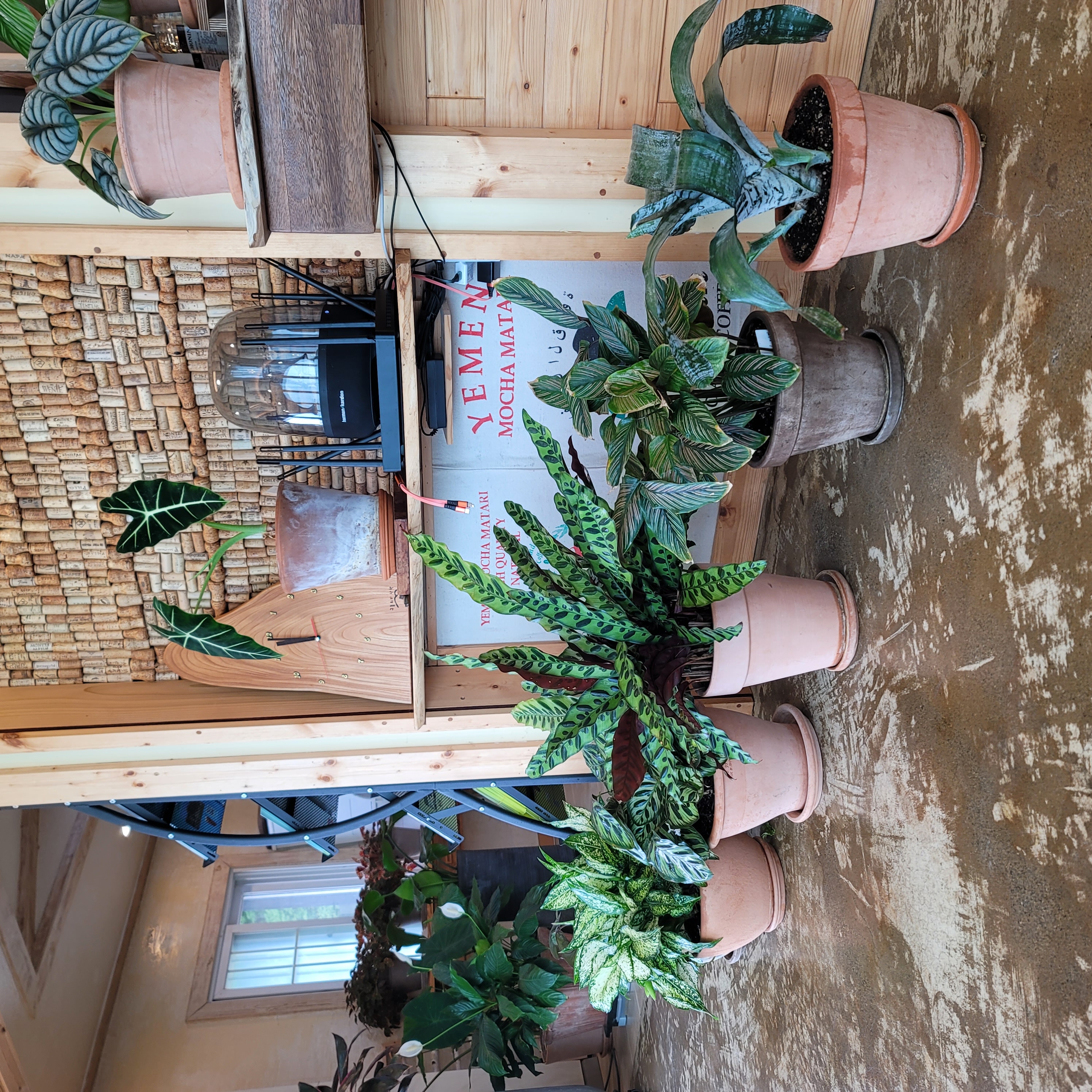 구름위의 산책 이미지