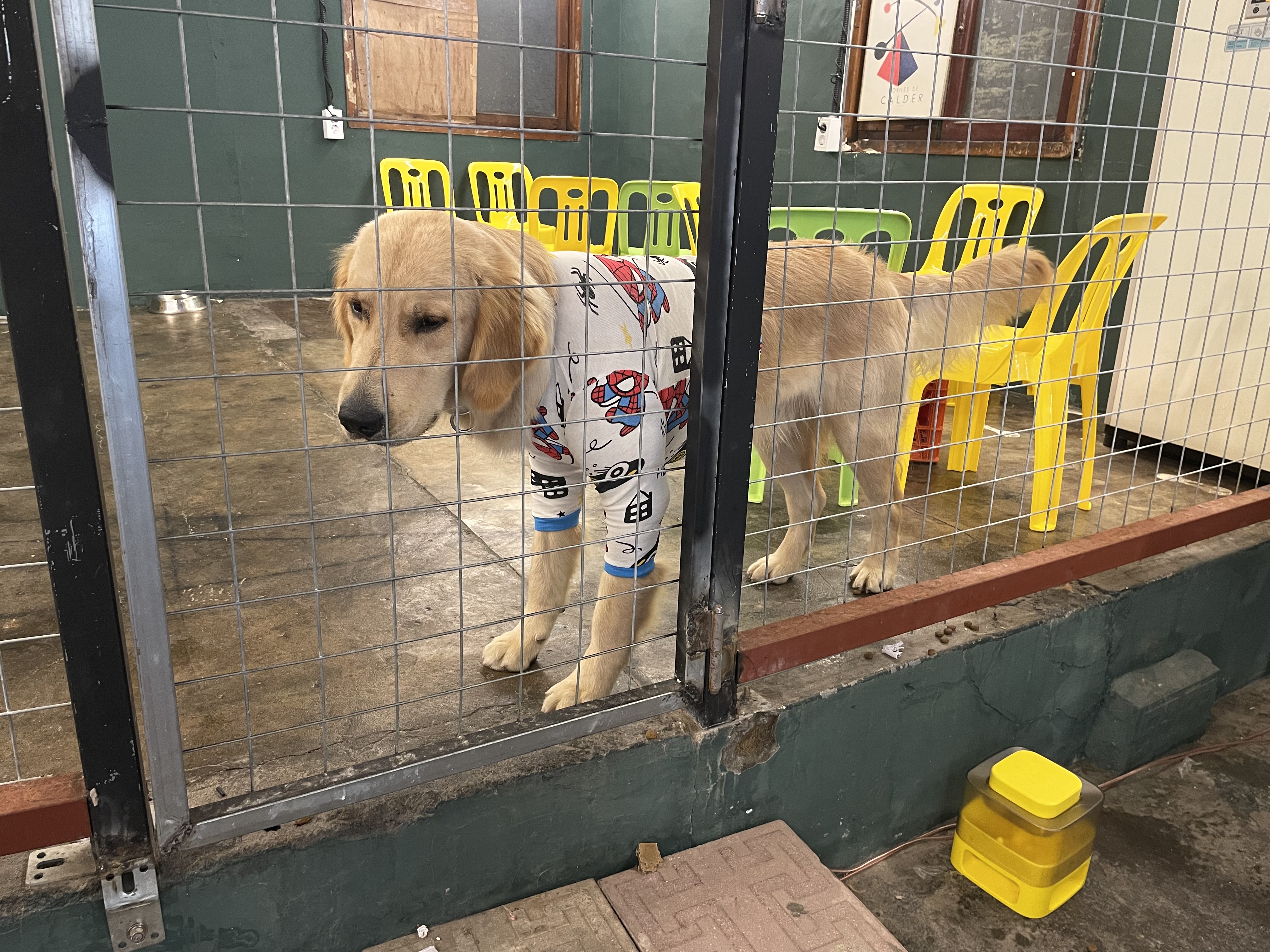 백산커피 이미지