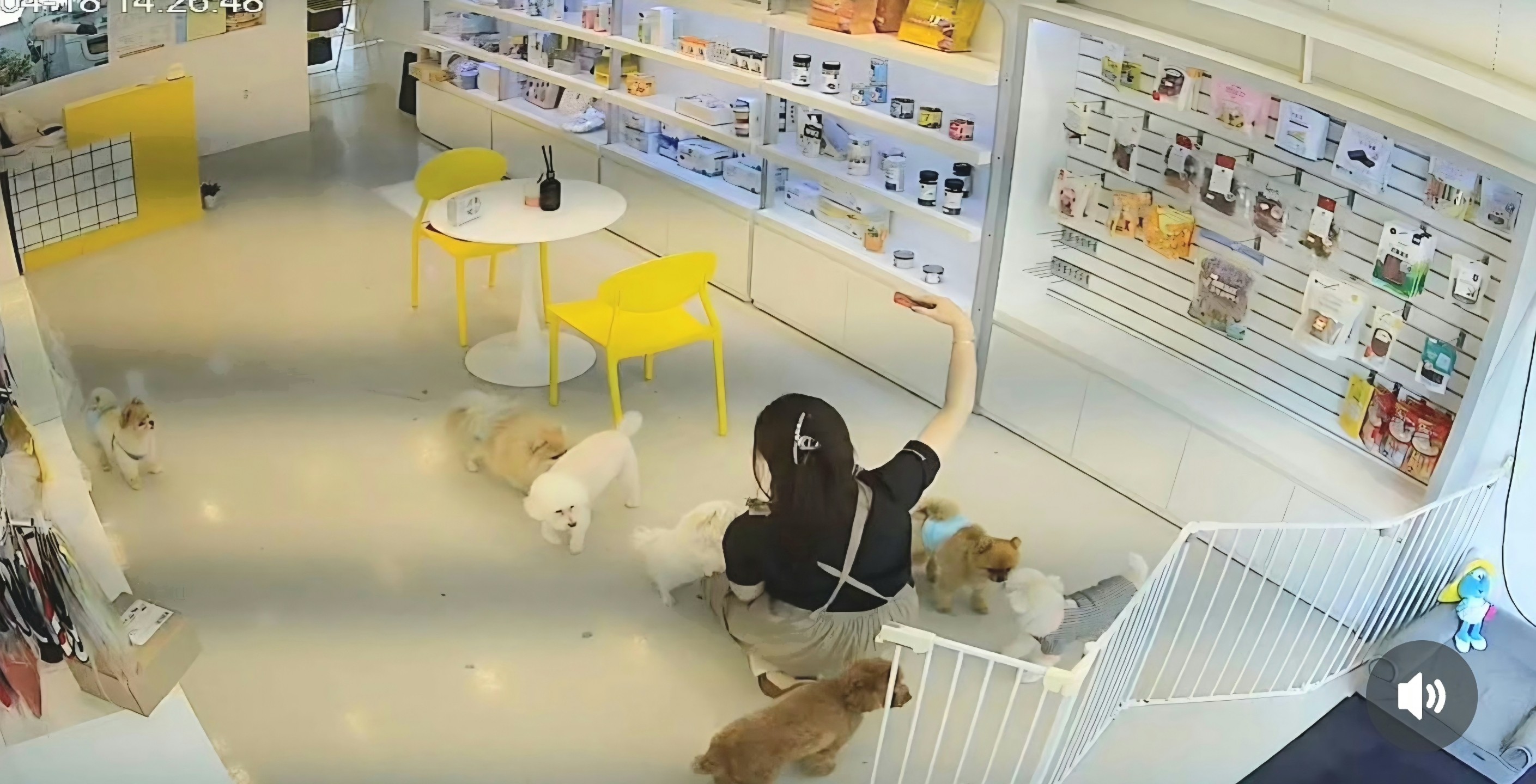 팡앤뭉치