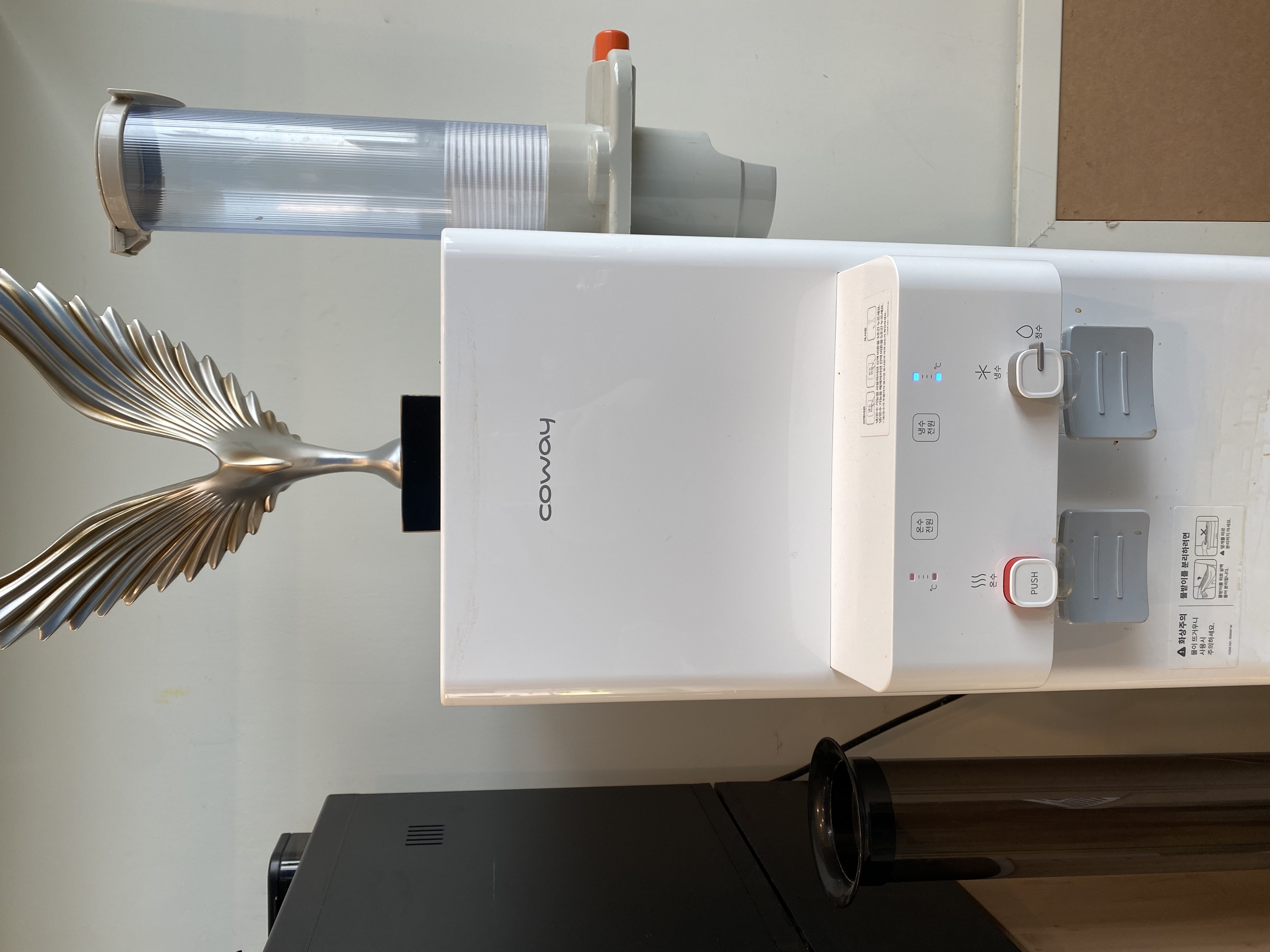 단양청춘패러 이미지