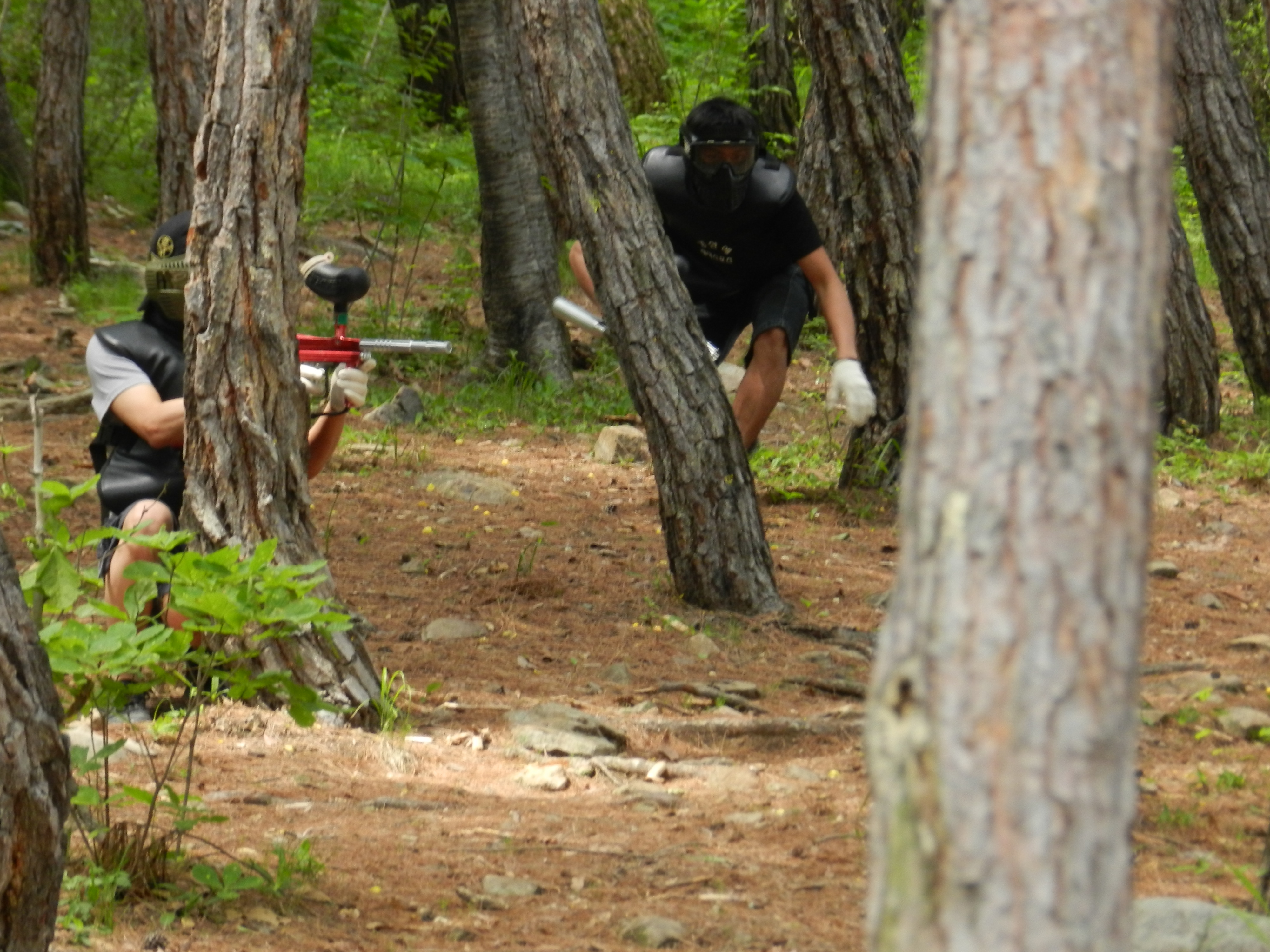 남한강레포츠 이미지