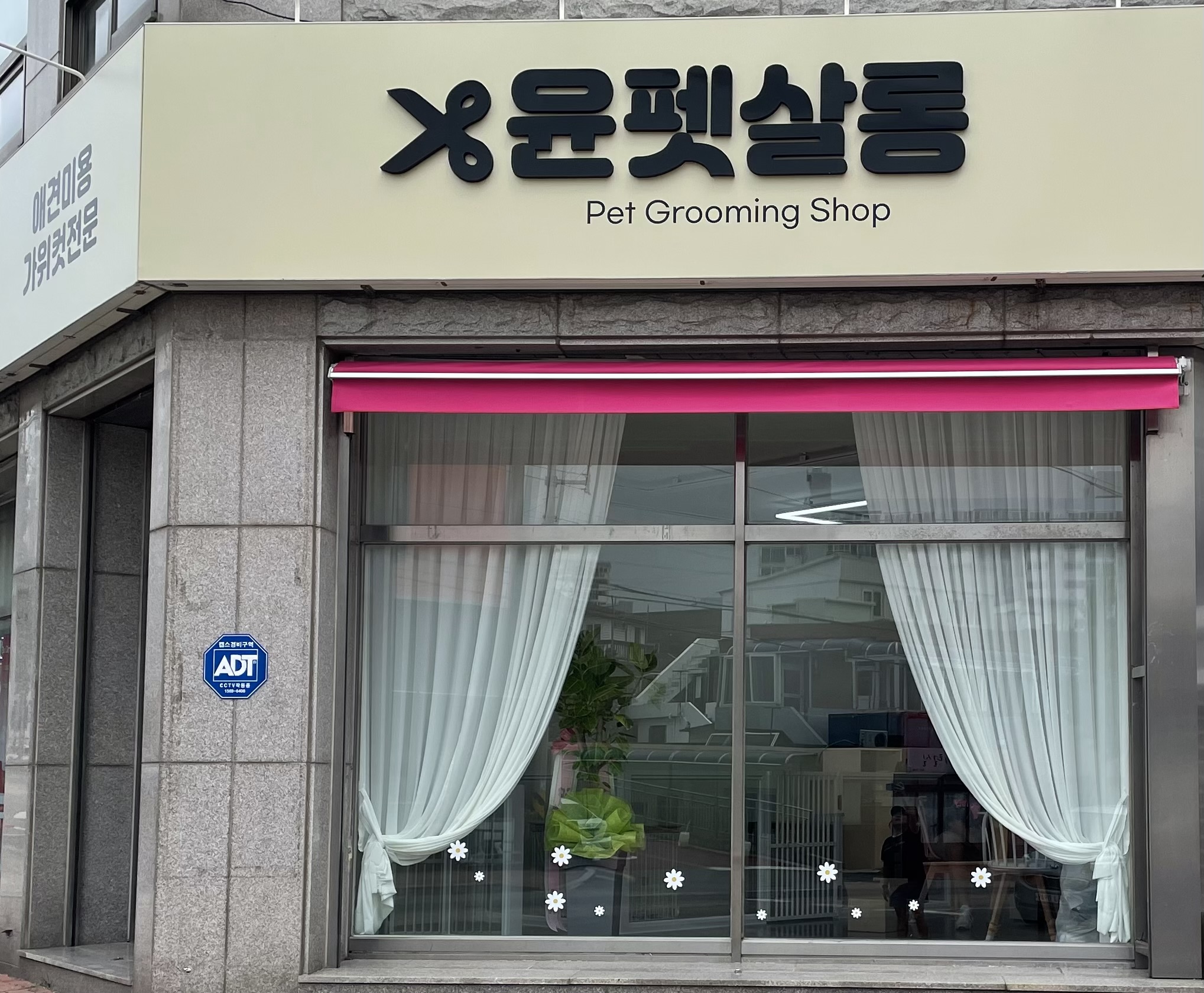 윤펫살롱
