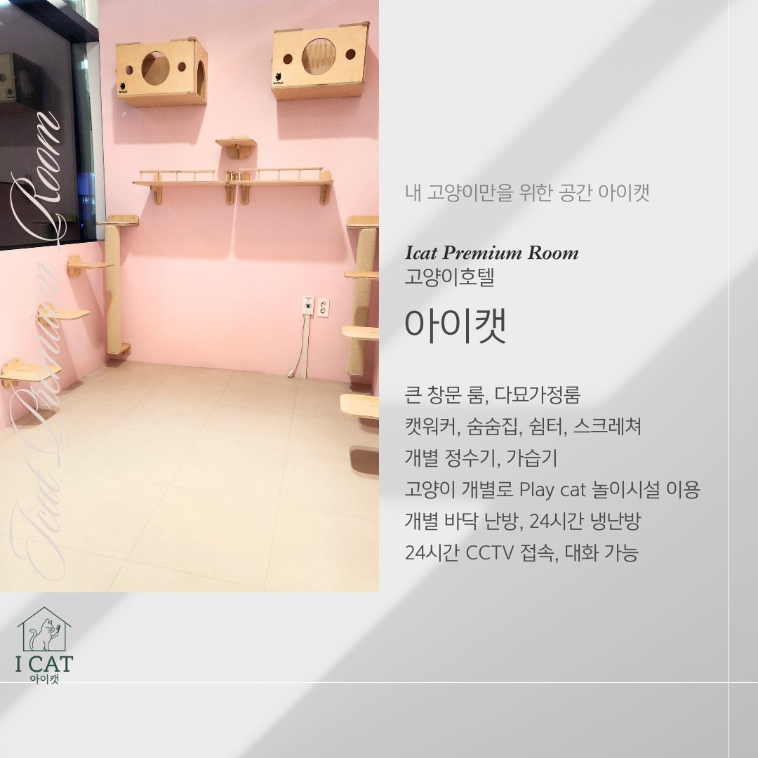 아이캣 고양이미용 호텔