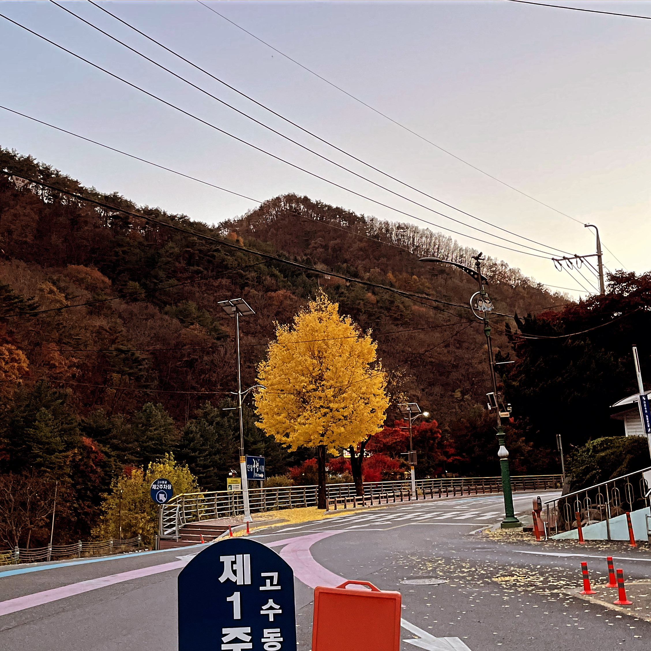 백산커피 이미지