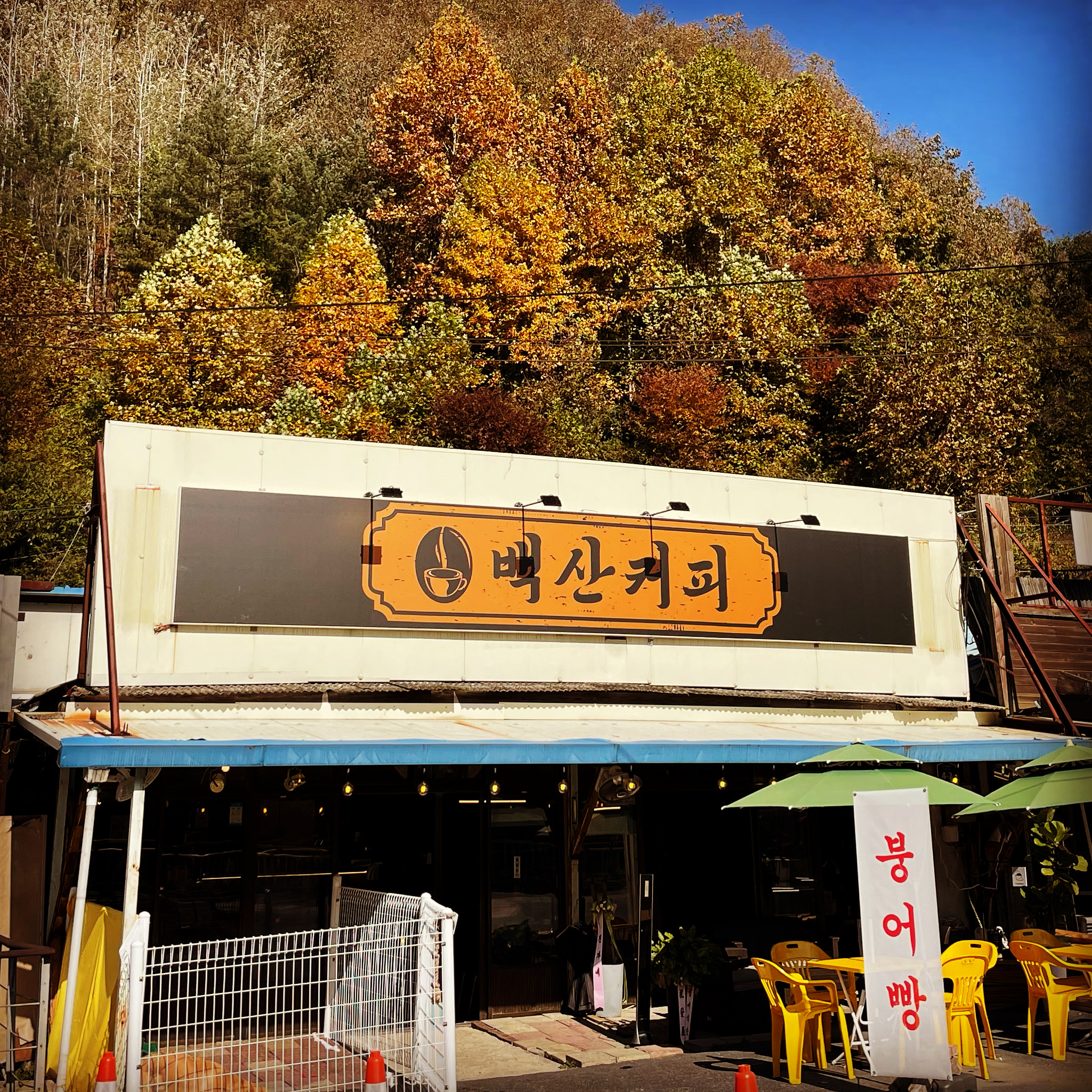 백산커피 이미지