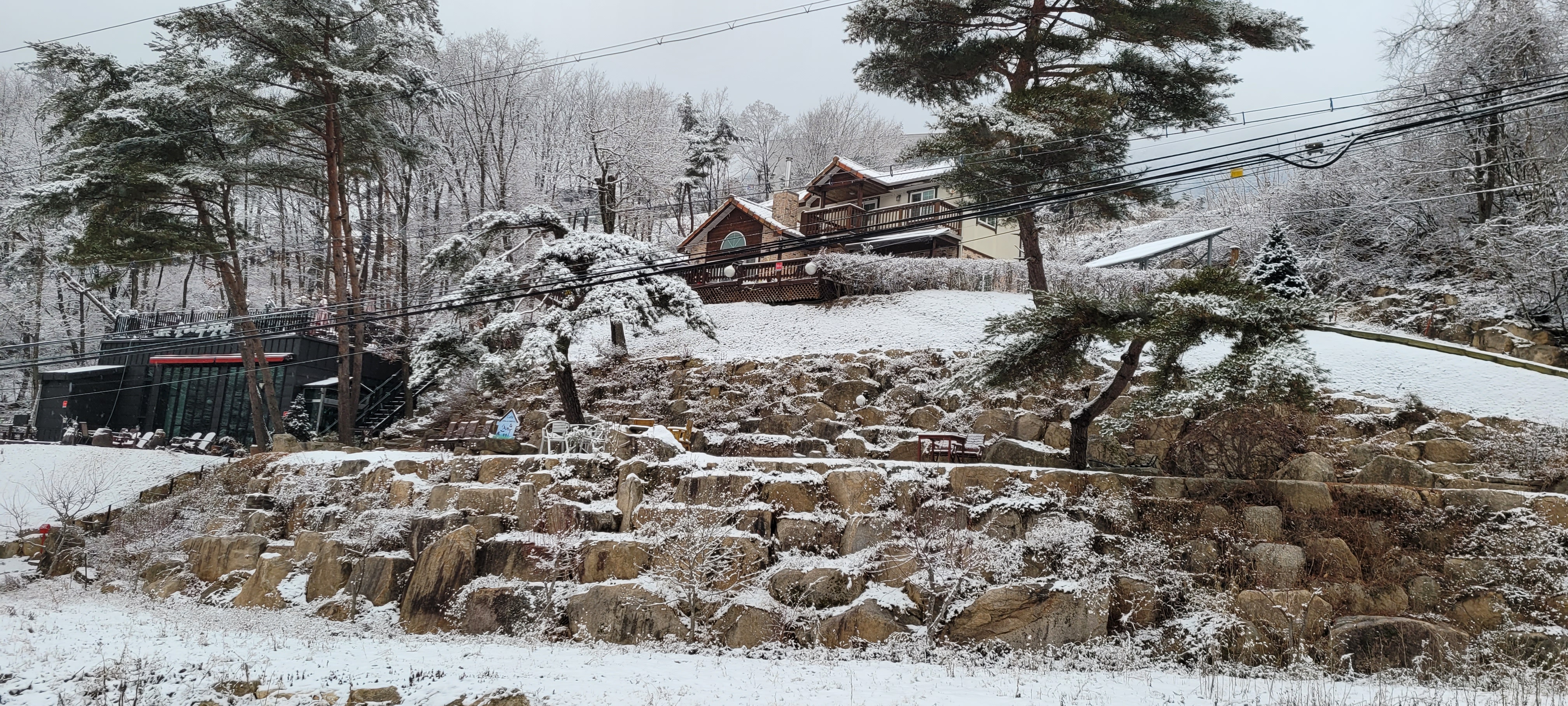 소나무정원화덕피자 이미지