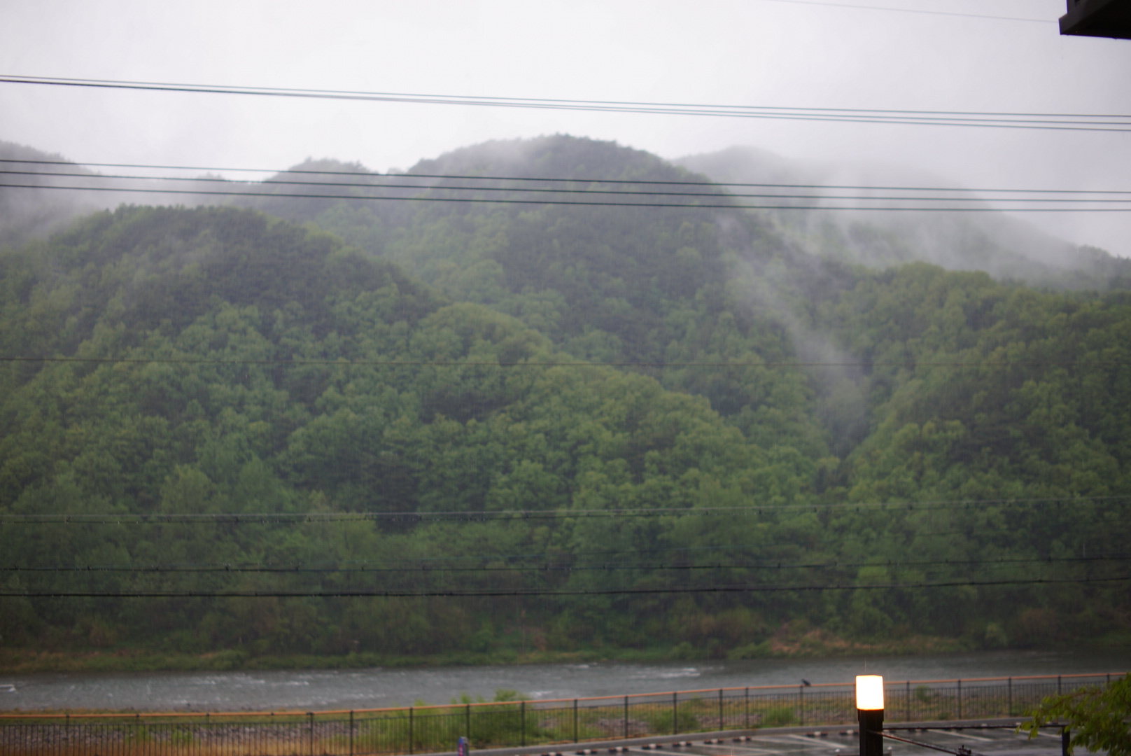 리버빈스 이미지