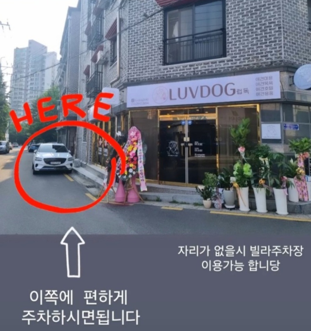럽독
