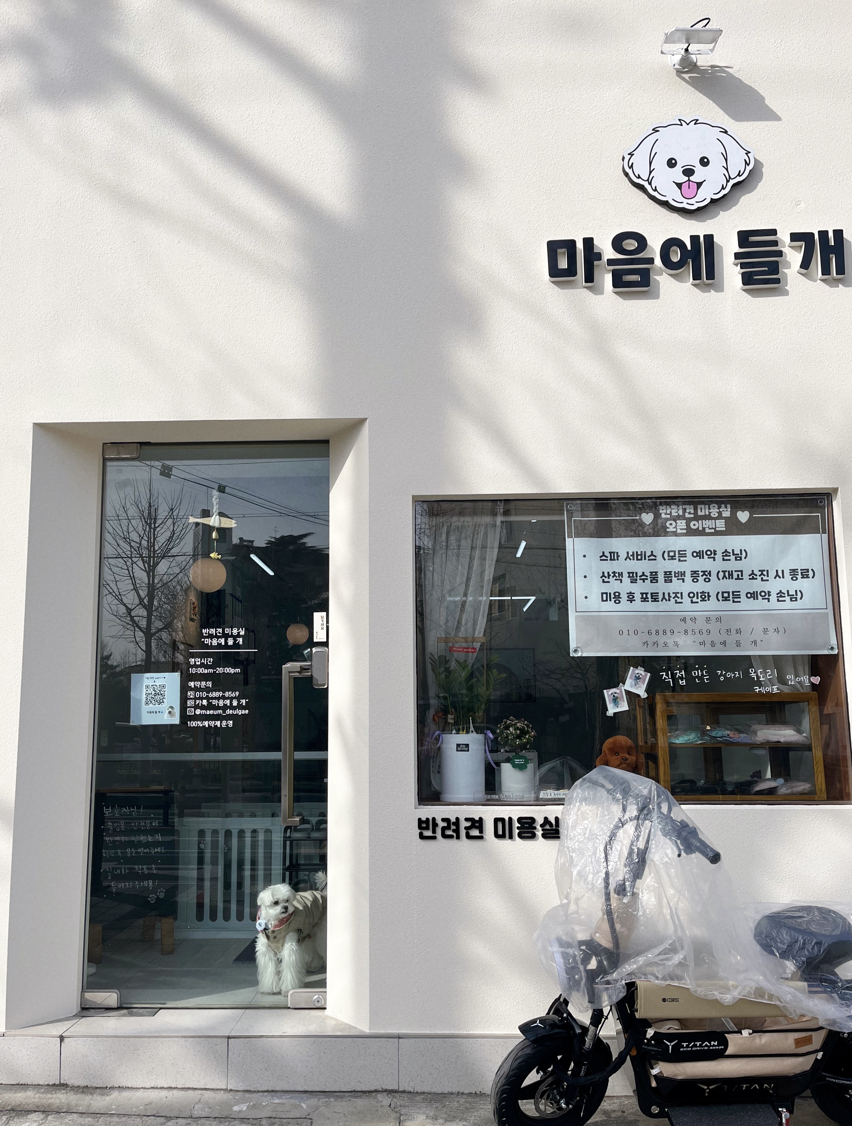 마음에 들 개