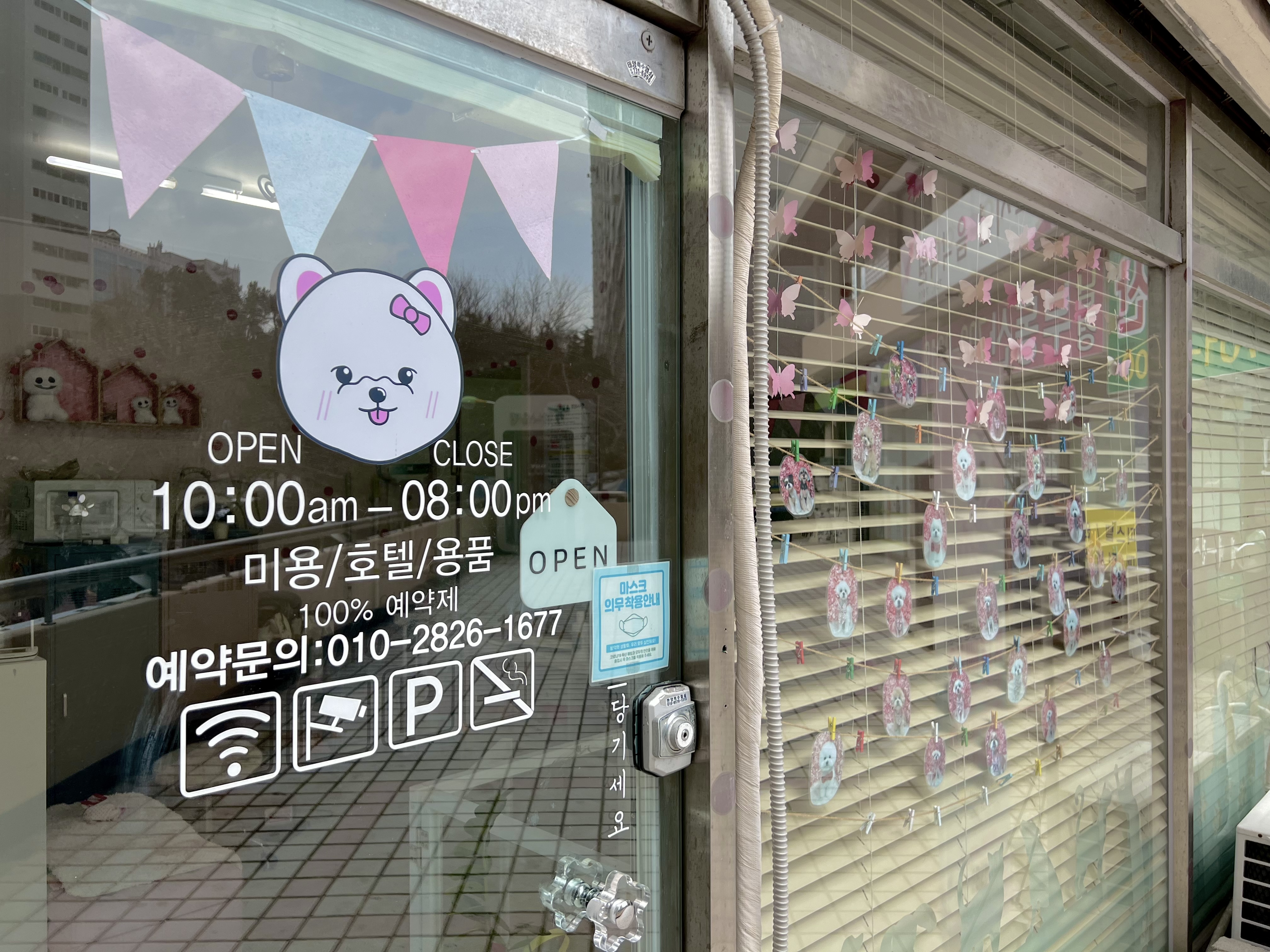바비펫살롱