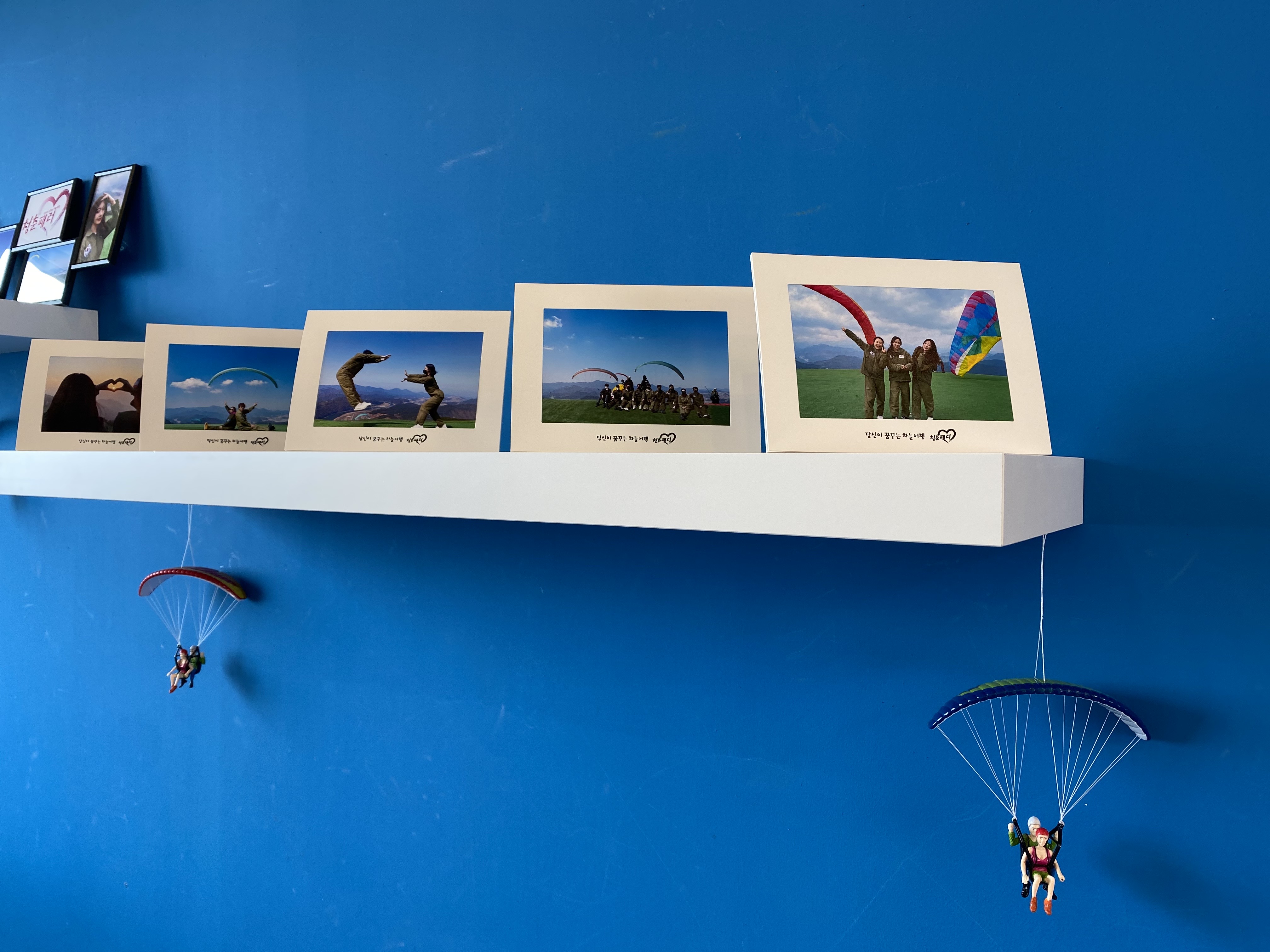 단양청춘패러 이미지