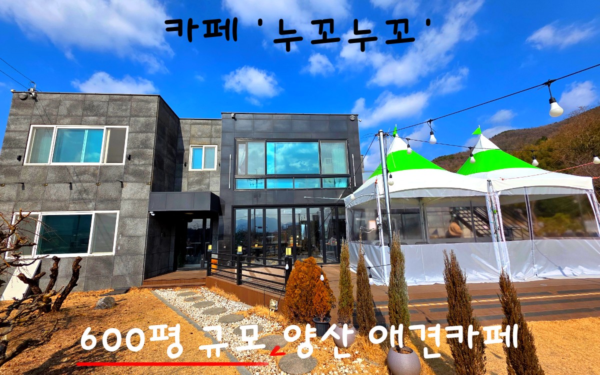 누꼬누꼬