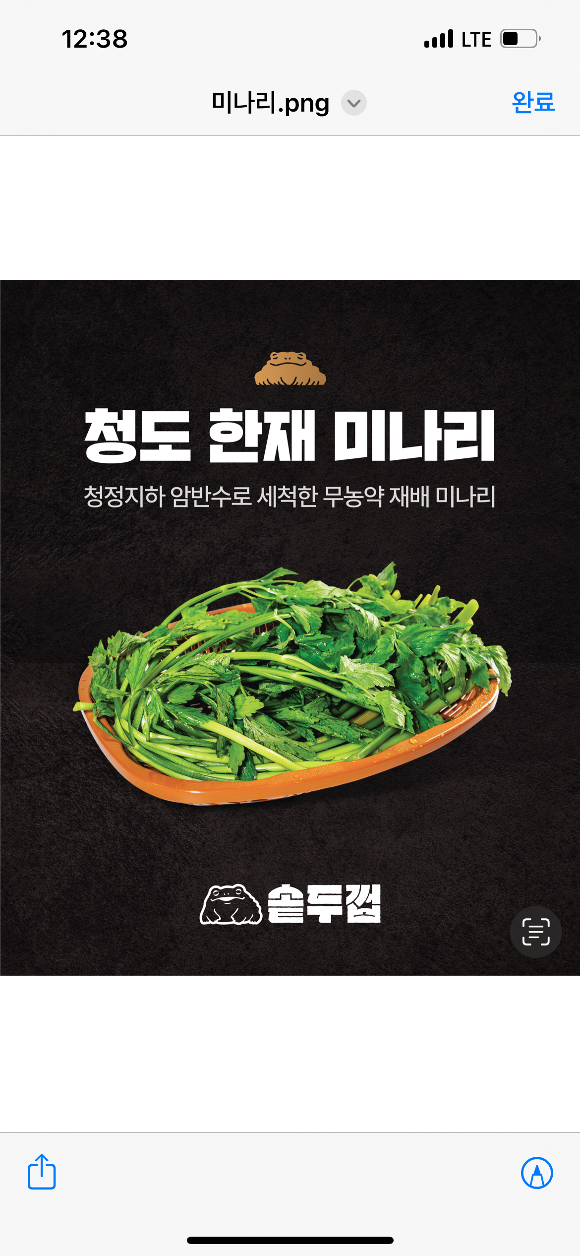 무농약 청도 한재 미나리